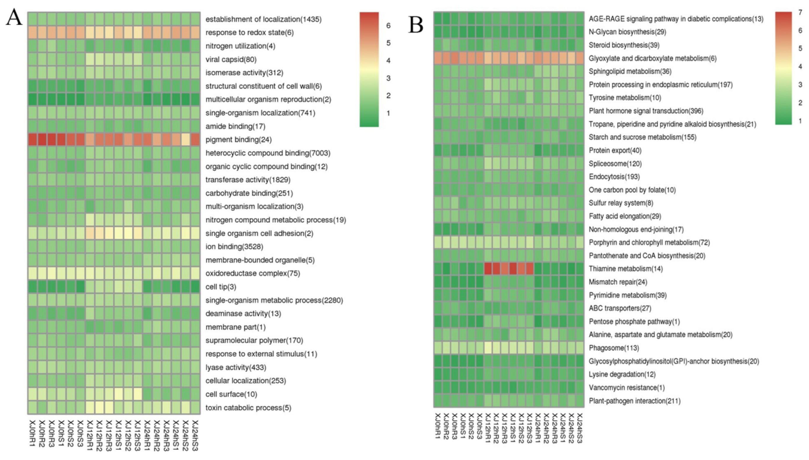 Genes 13 01159 g007