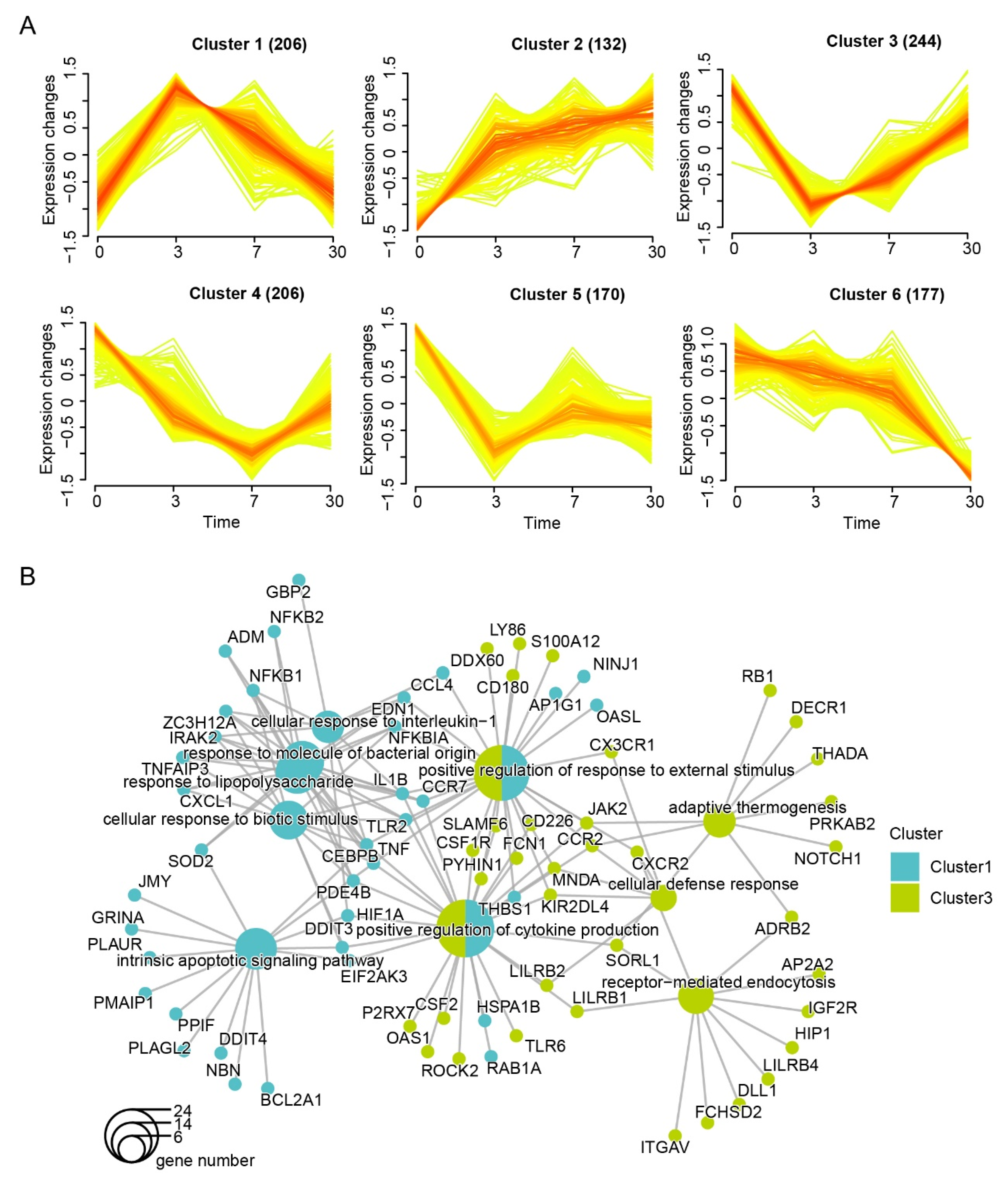 Genes 13 01193 g002