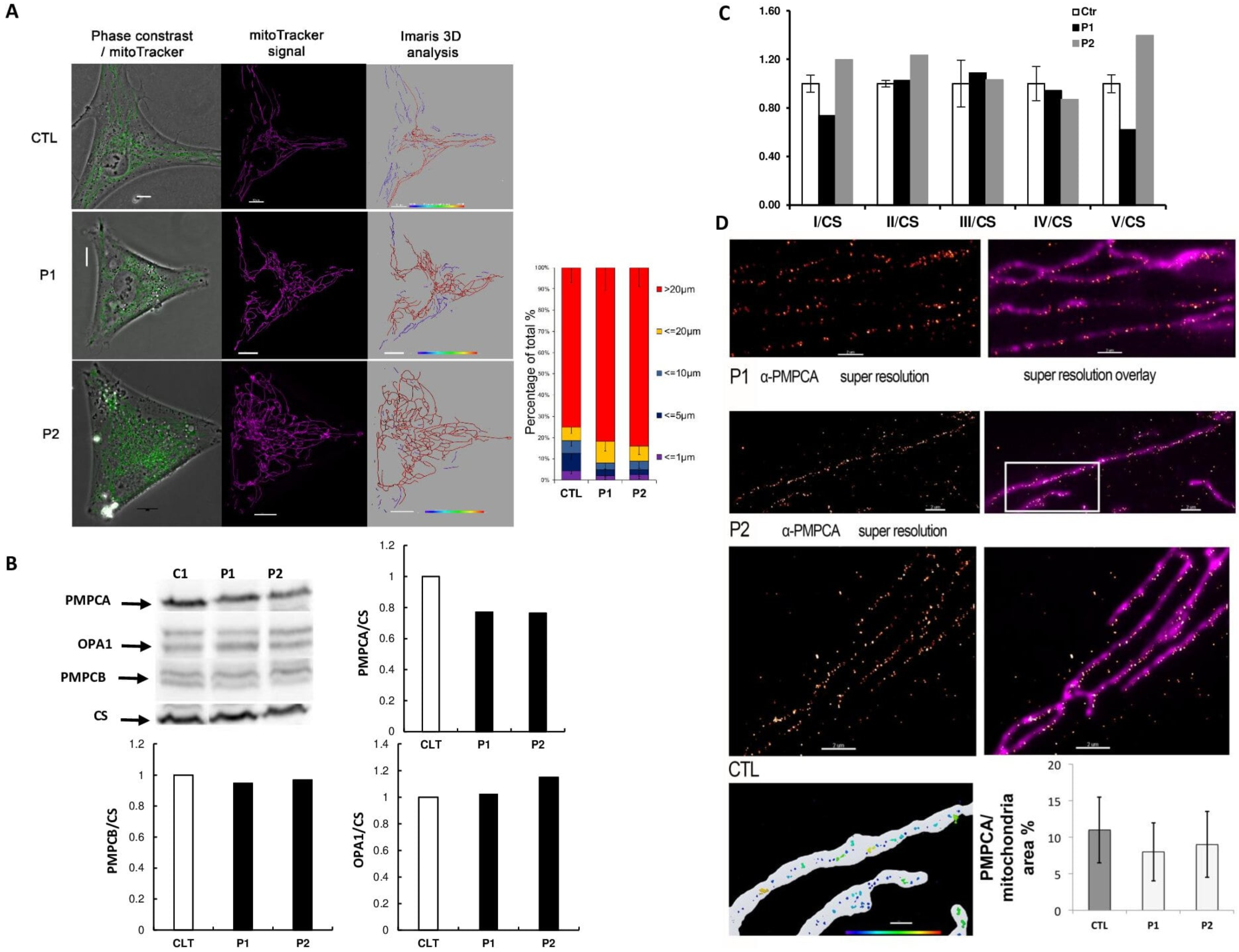 Genes 13 01202 g002
