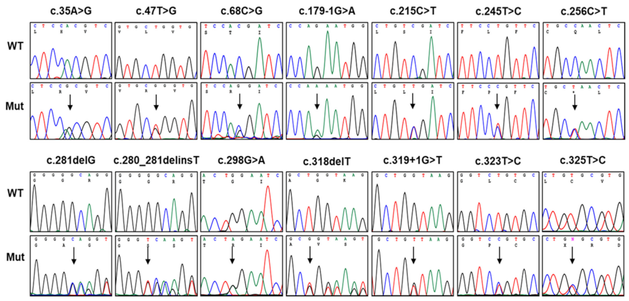 Genes 13 01219 g002 Genes 13 01219 g002