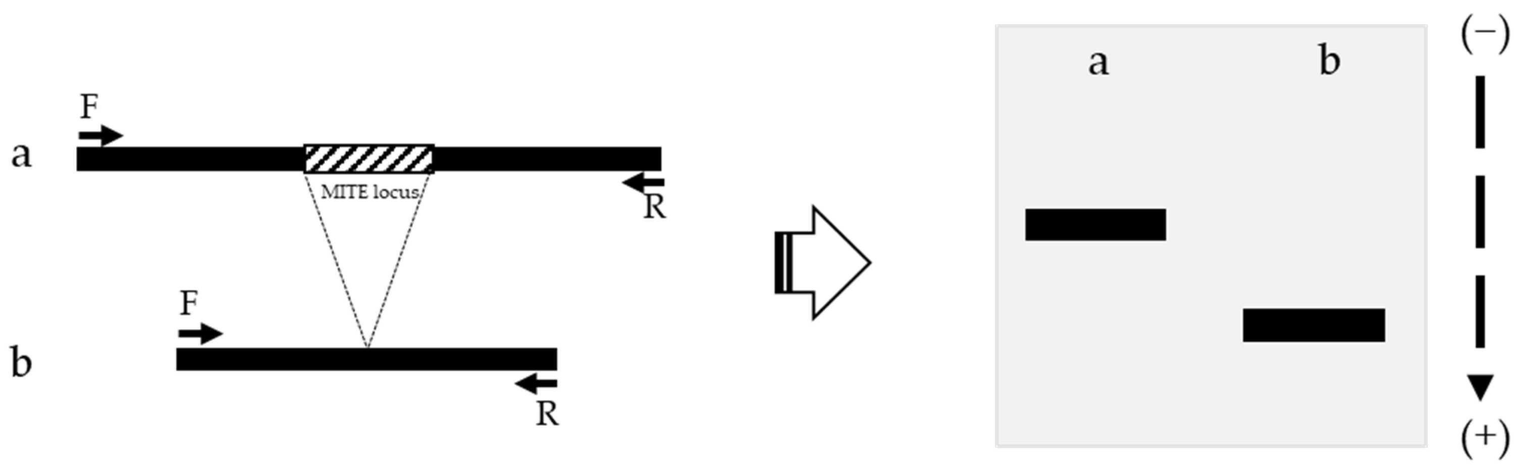 Genes 13 01222 g002 Genes 13 01222 g002