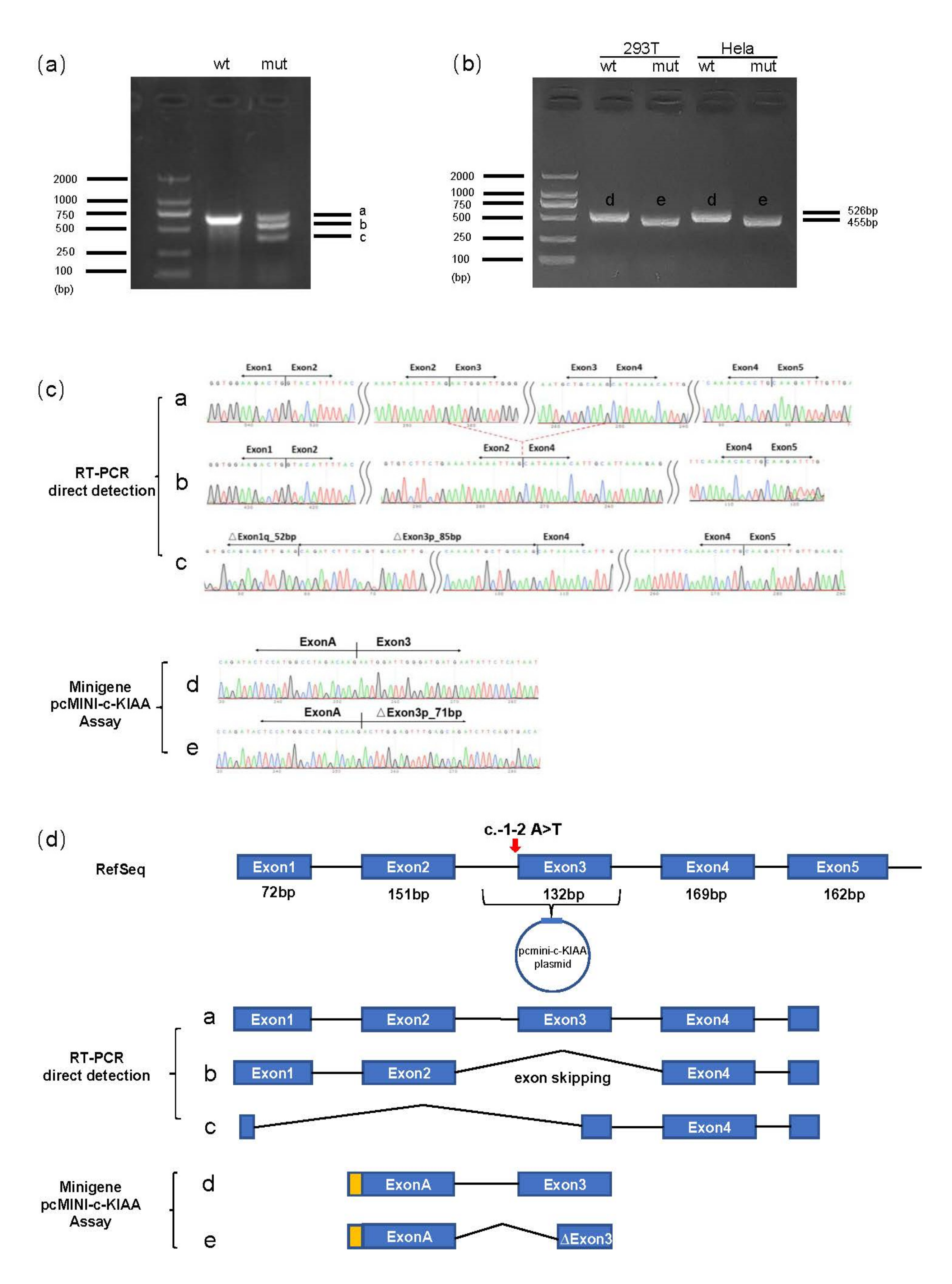 Genes 13 01230 g003