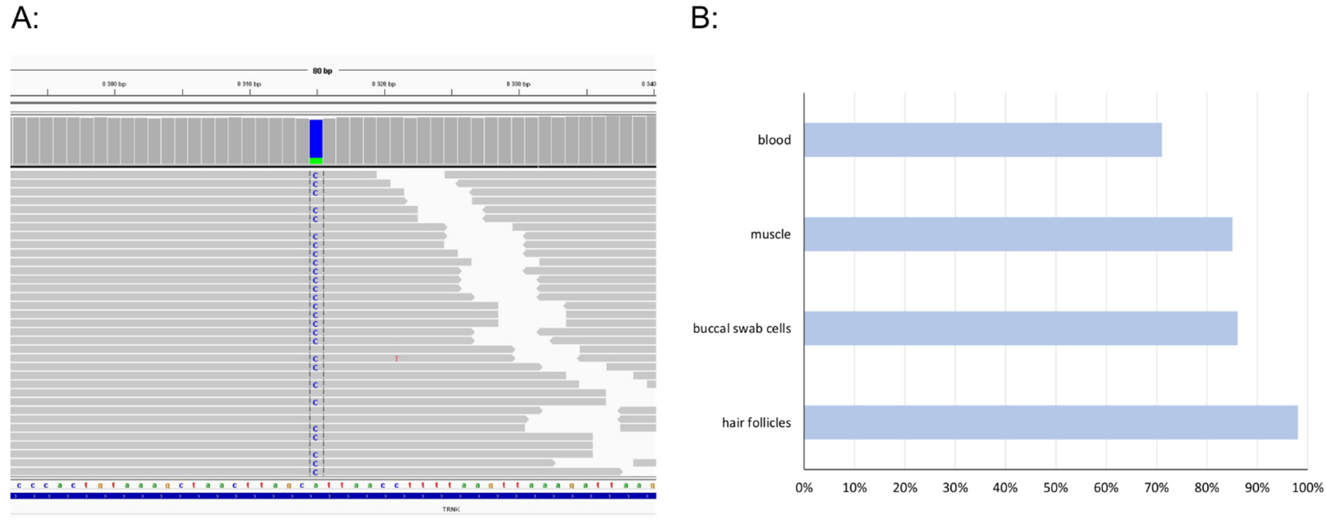 Genes 13 01245 g001