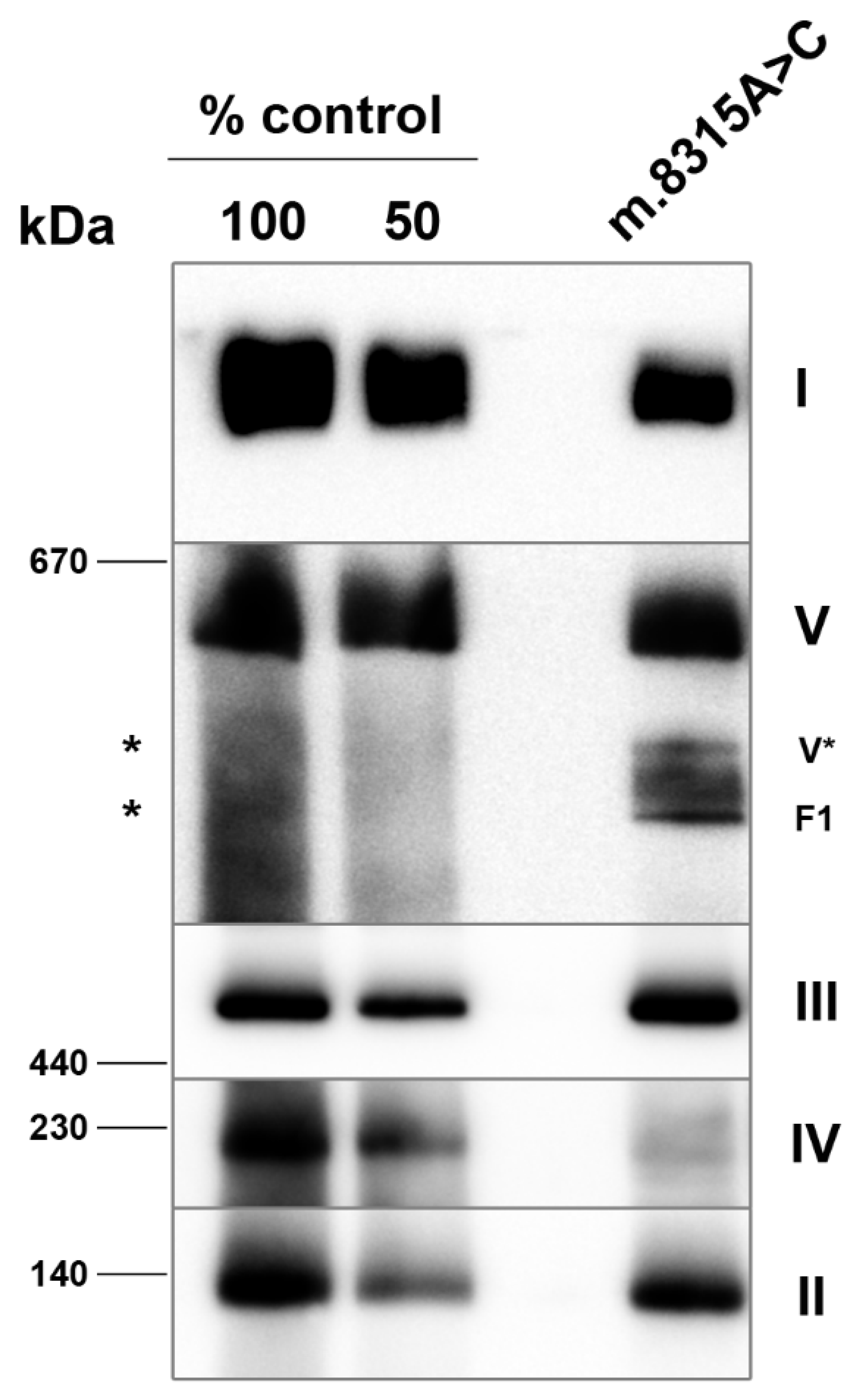 Genes 13 01245 g002