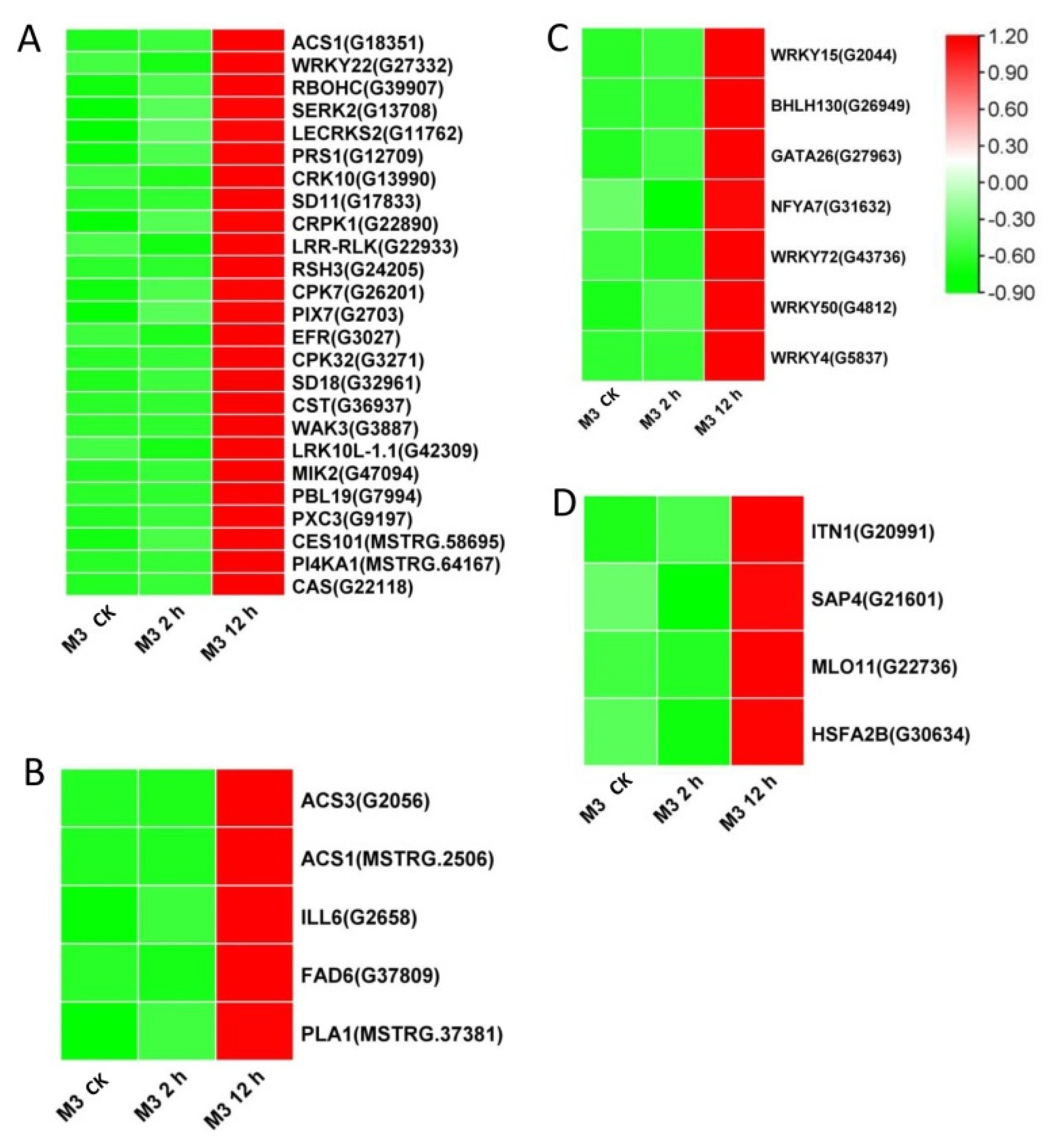 Genes | Free Full-Text | Comparative Transcriptome and Interaction ...