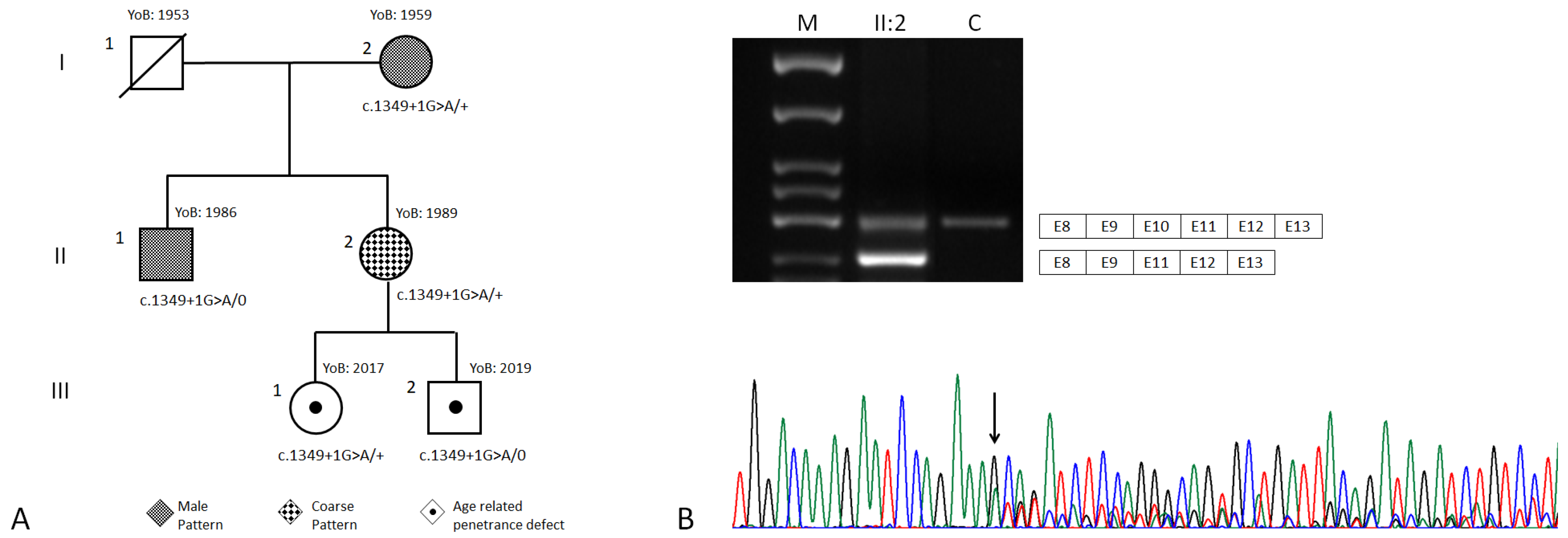 Genes 13 01268 g002