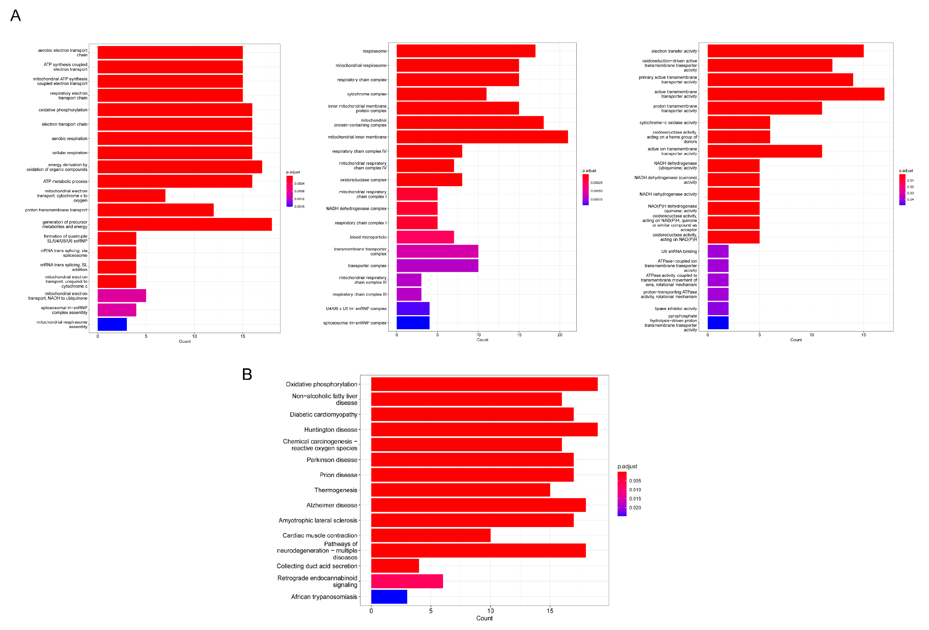 Genes 13 01282 g007 Genes 13 01282 g007