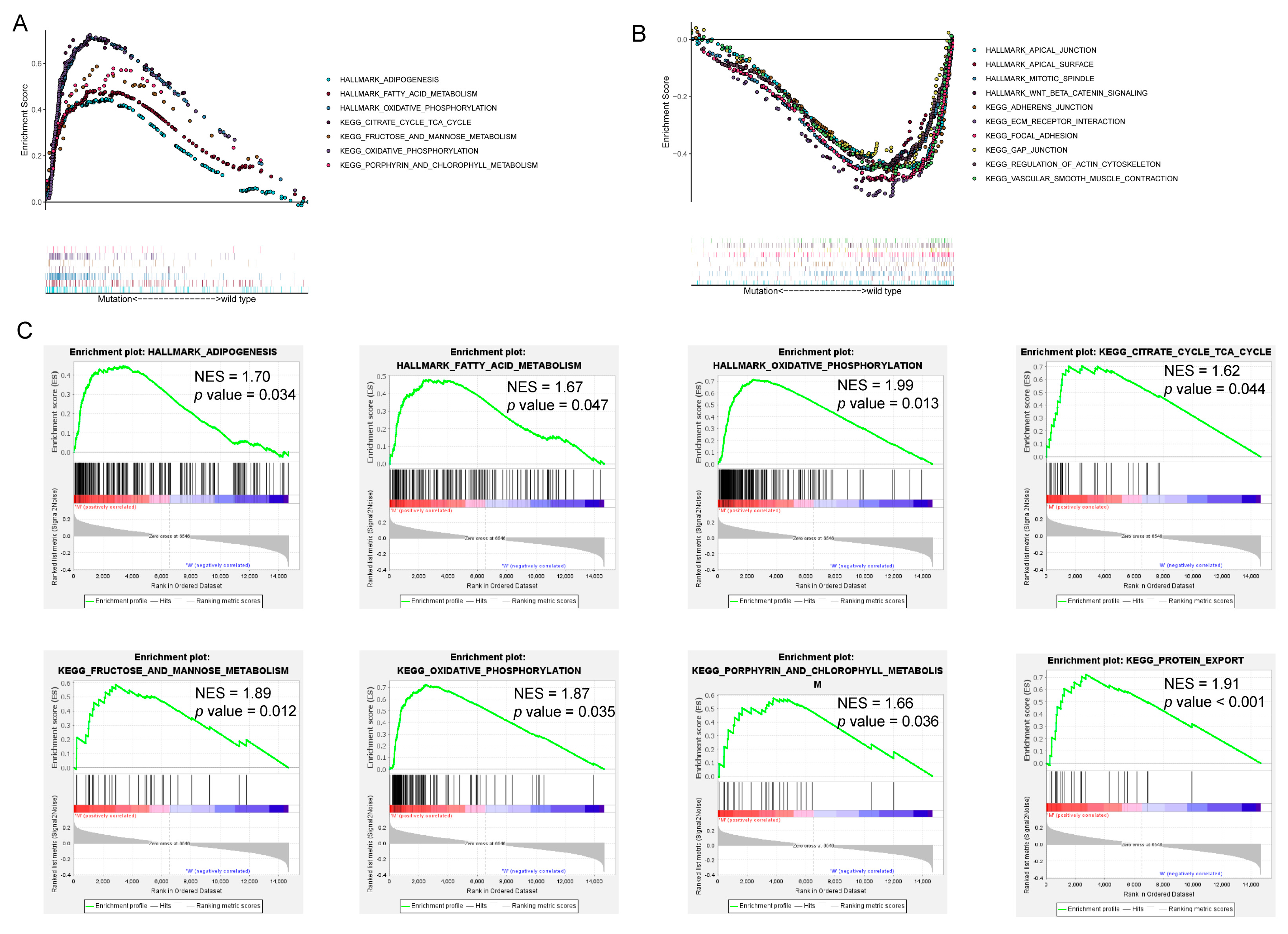 Genes 13 01282 g008 Genes 13 01282 g008
