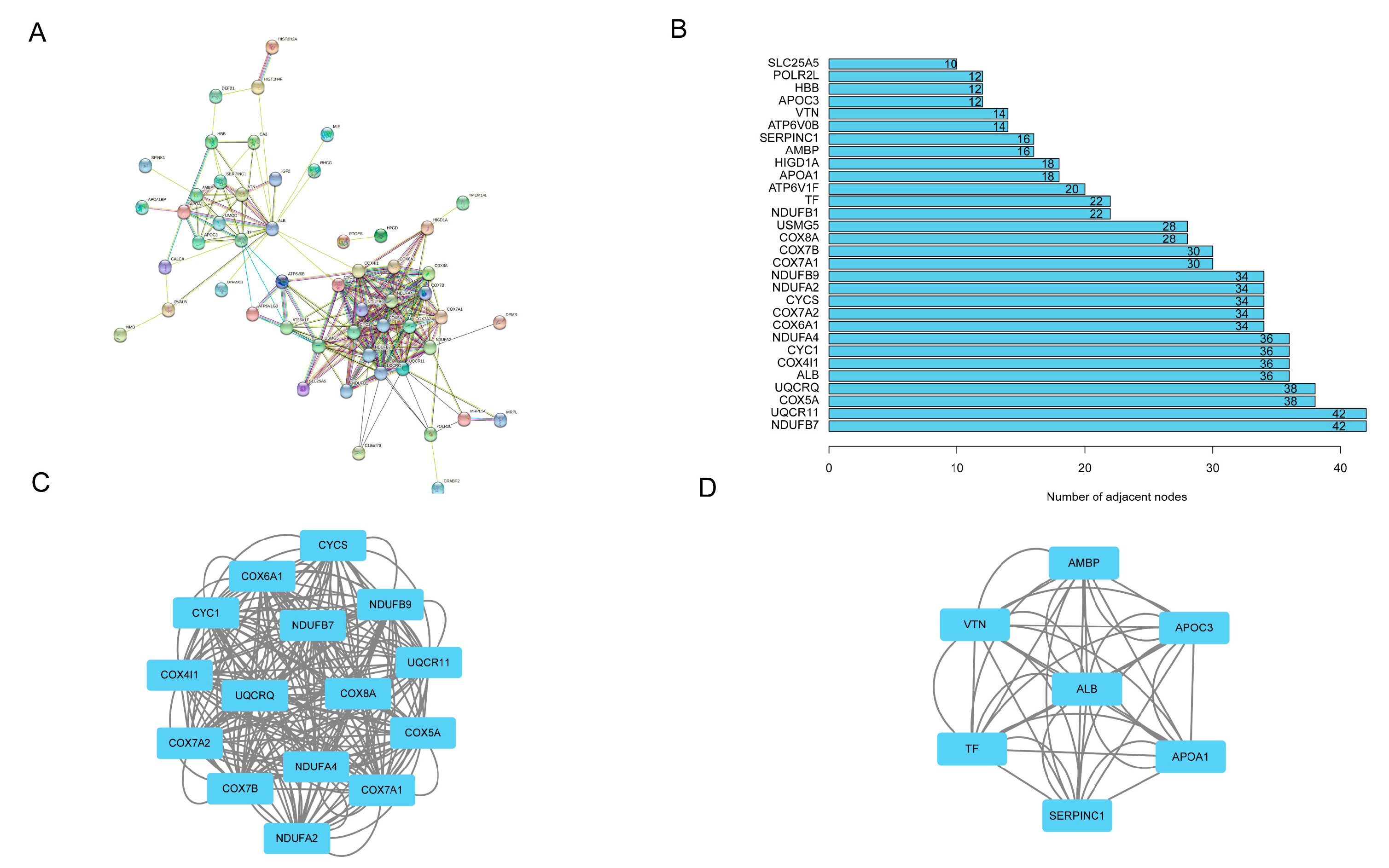 Genes 13 01282 g009 Genes 13 01282 g009