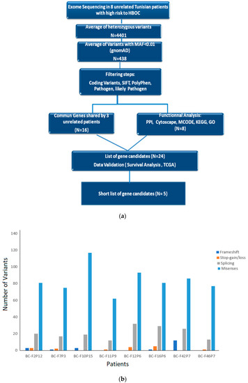 Database listings for BRCA gene missense mutations