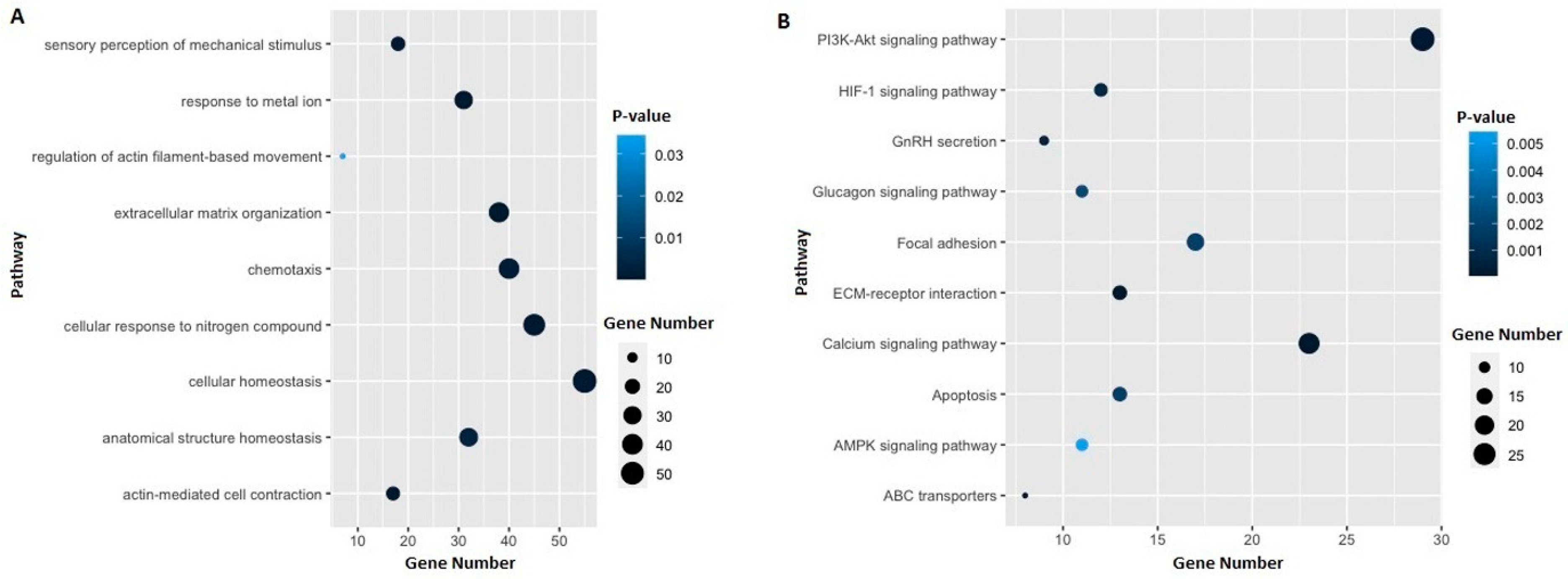 Genes 13 01296 g005 Genes 13 01296 g005
