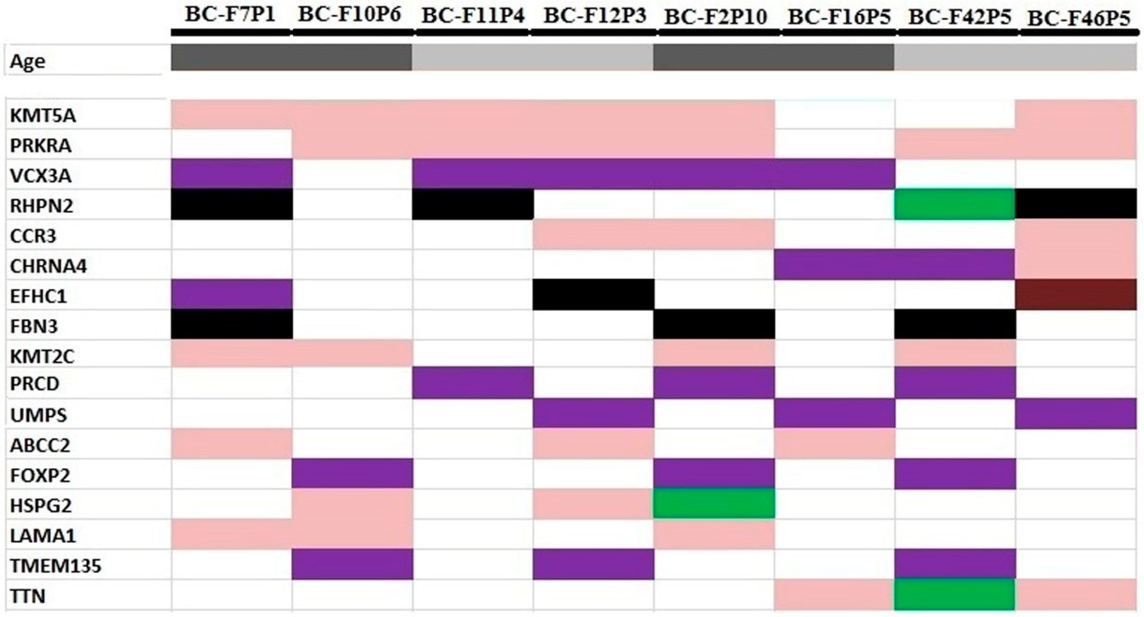 Genes 13 01296 g006 Genes 13 01296 g006