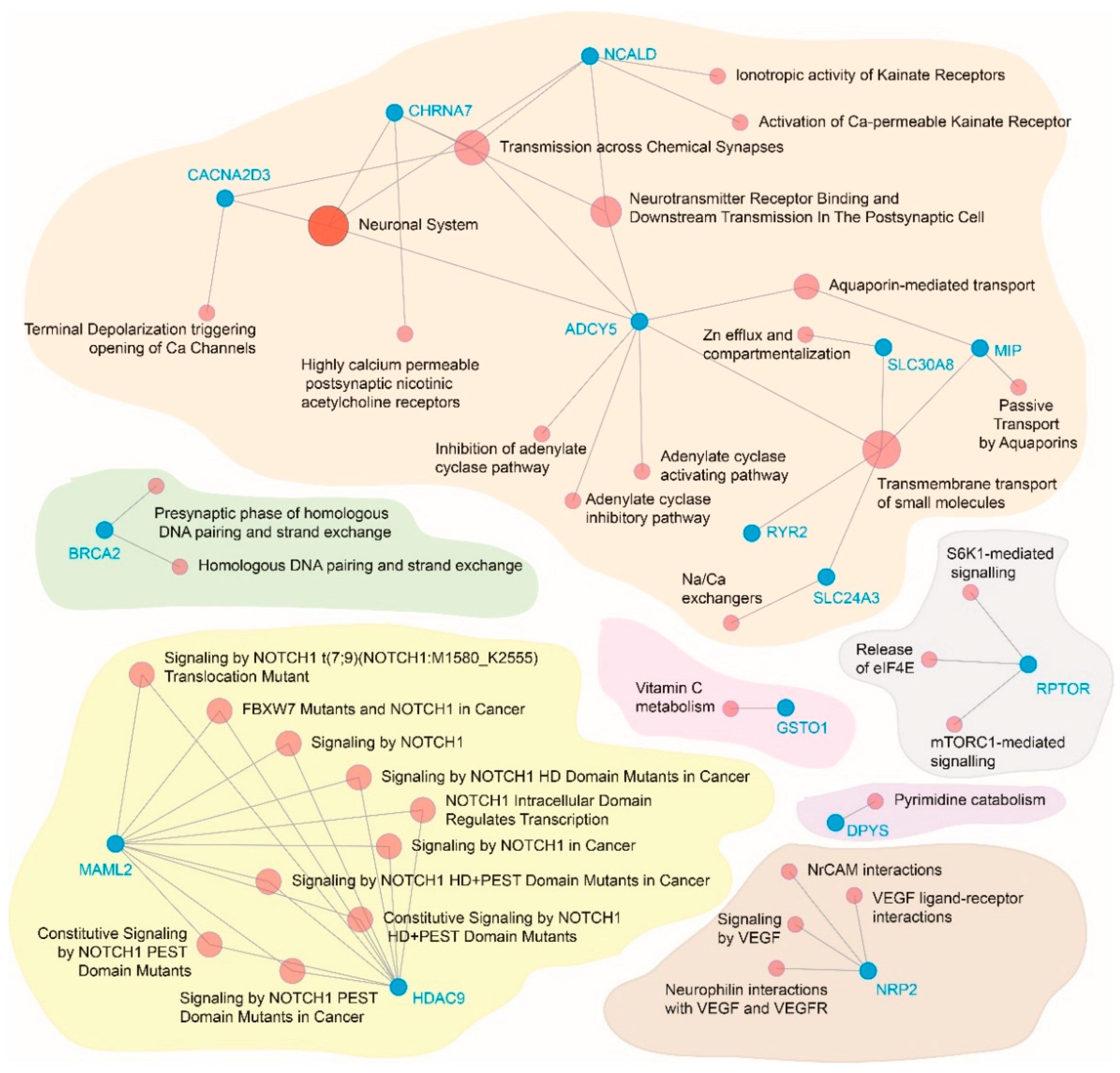 Genes 13 01298 g004 Genes 13 01298 g004