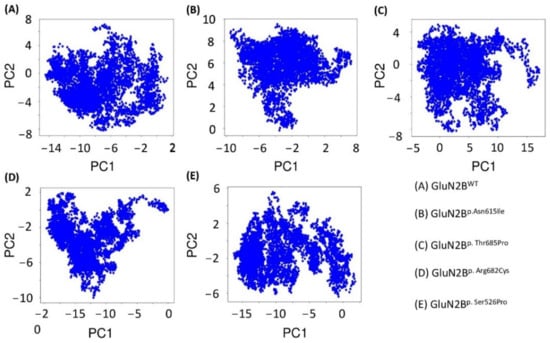 Analysis of evolutionary conserved amino acid residues of hOCT1 by