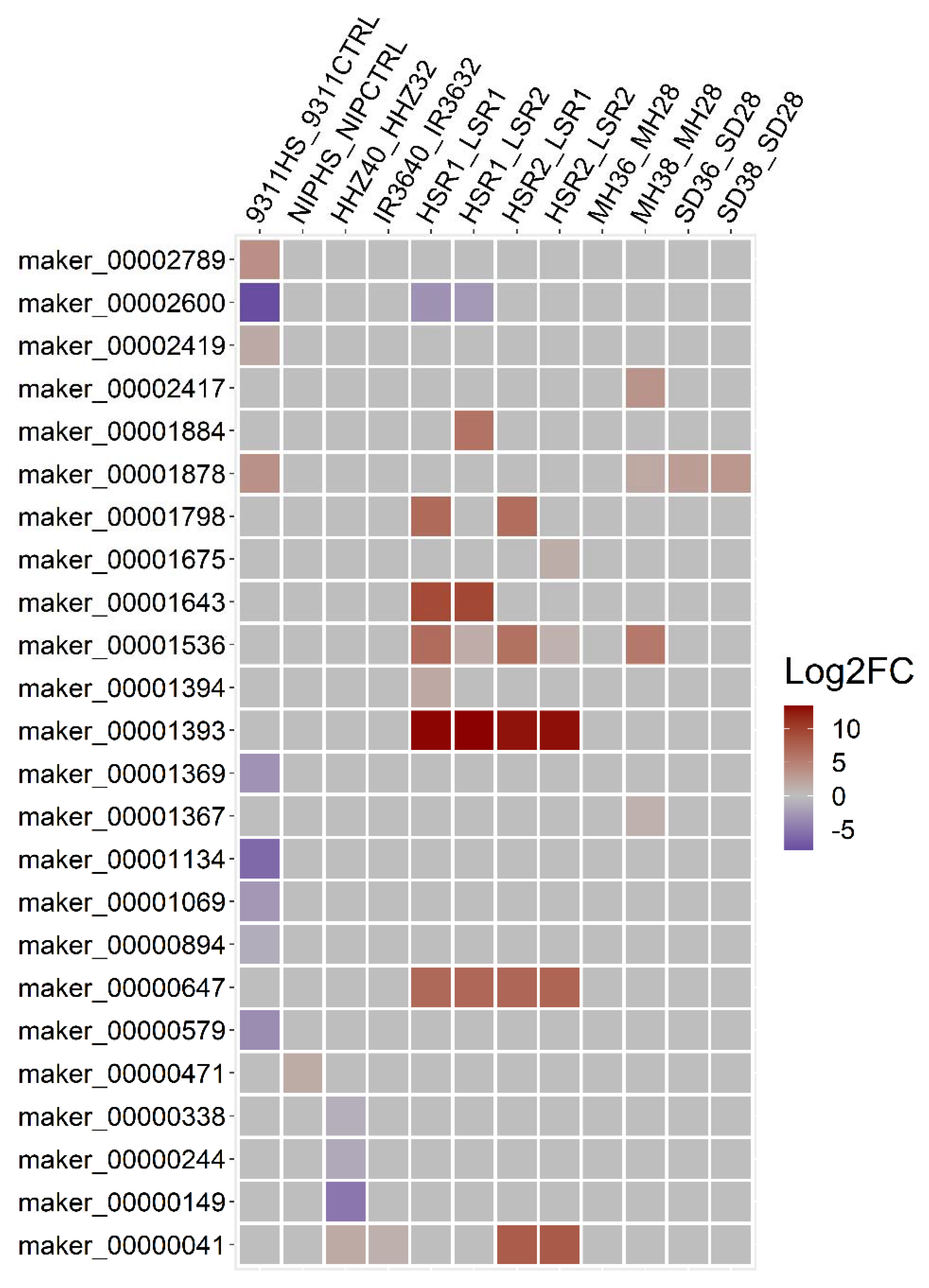 Genes 13 01353 g006