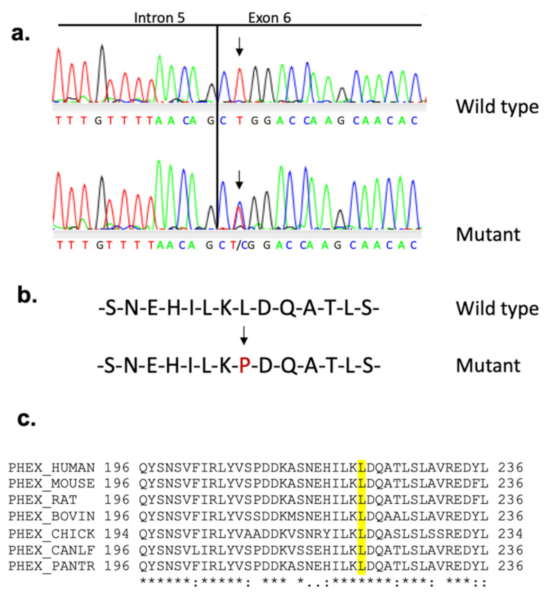 Genes 13 01356 g004