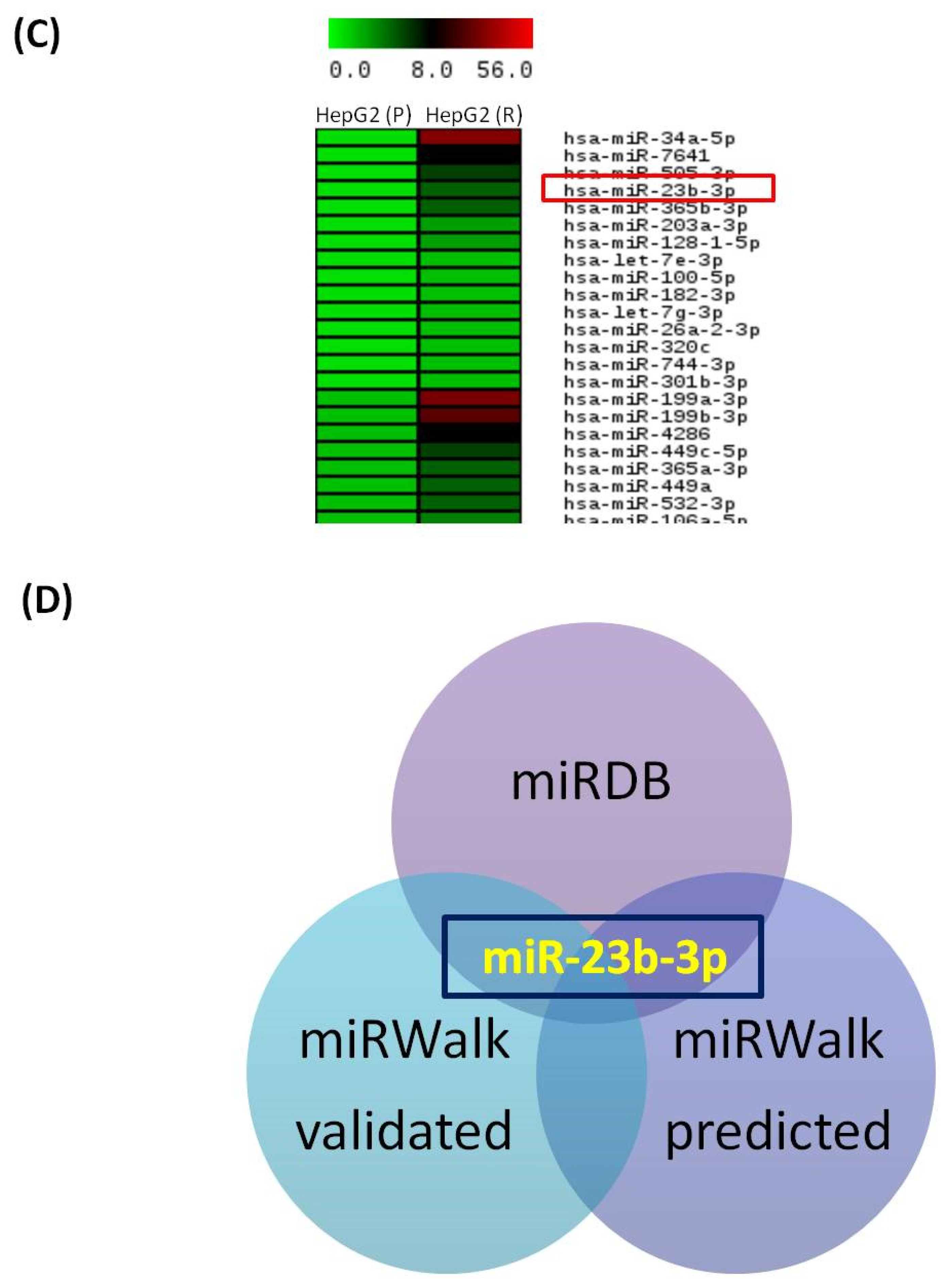 Genes 13 01375 g007b