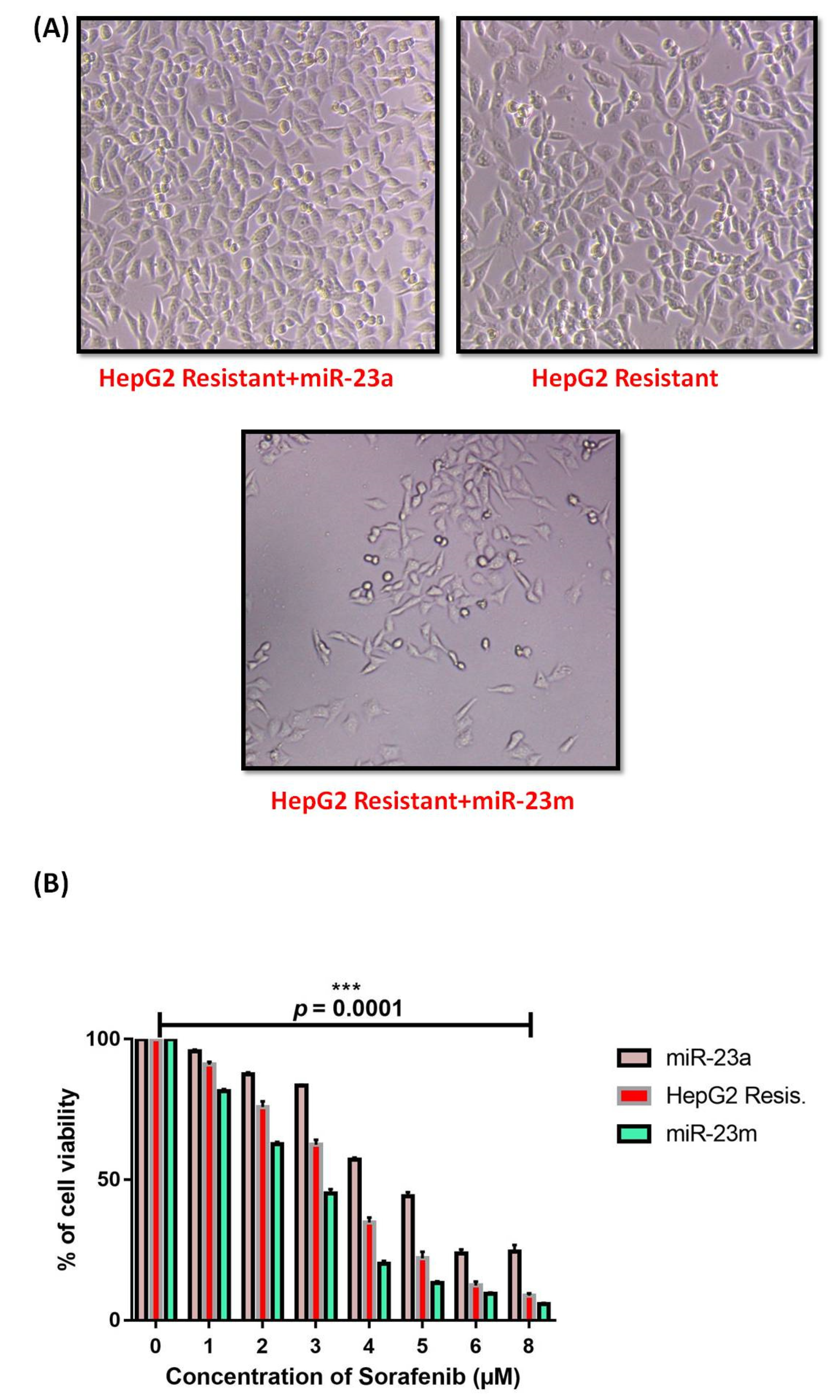 Genes 13 01375 g011a