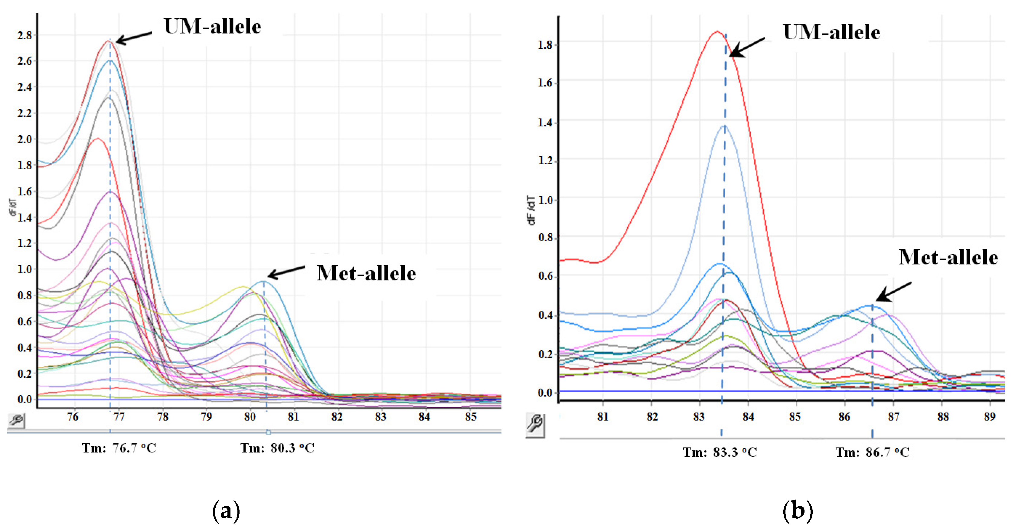 Melting curves of the genes assessed by Real-time PCR (miR-34c-5p (A)