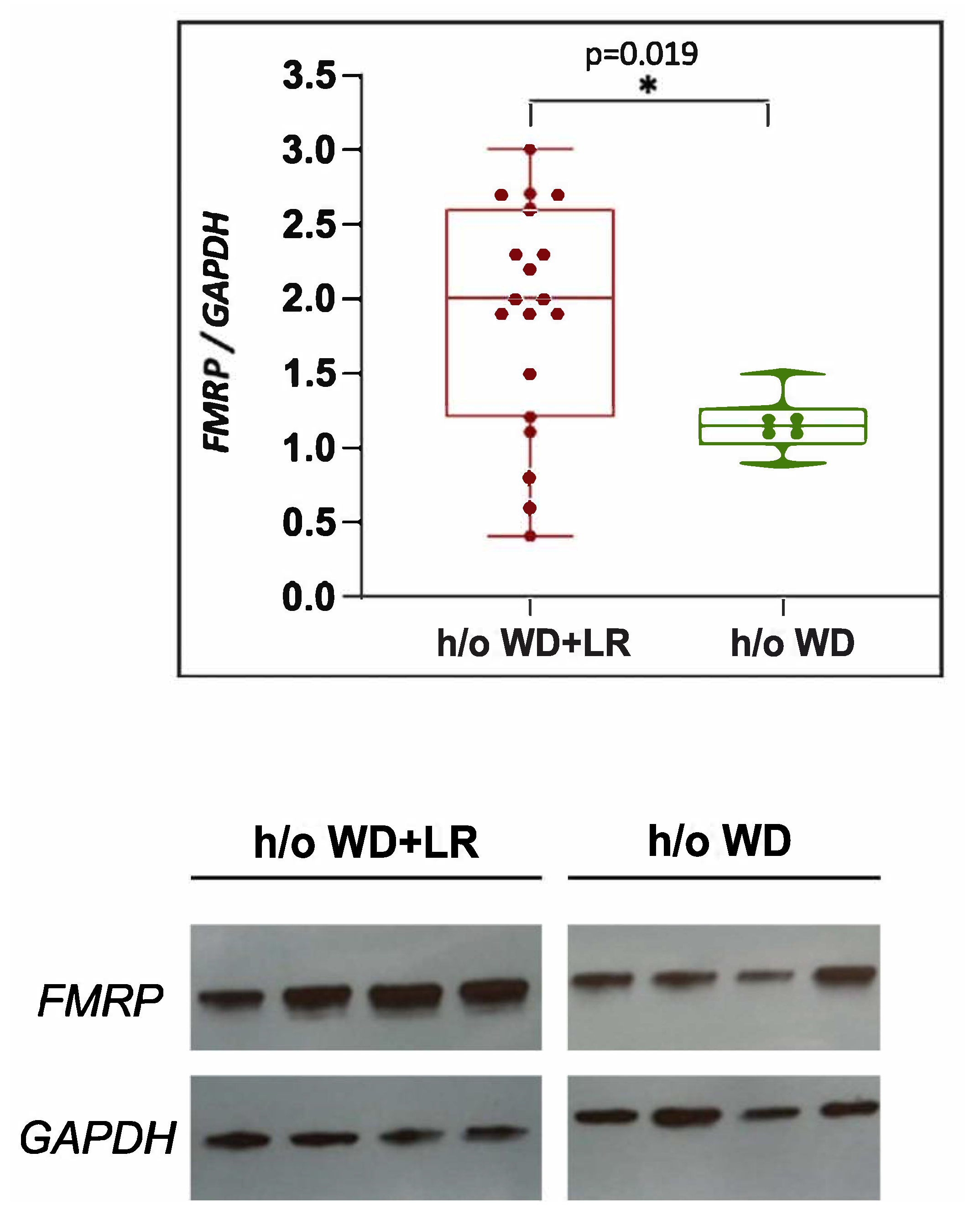 Genes 13 01409 g006