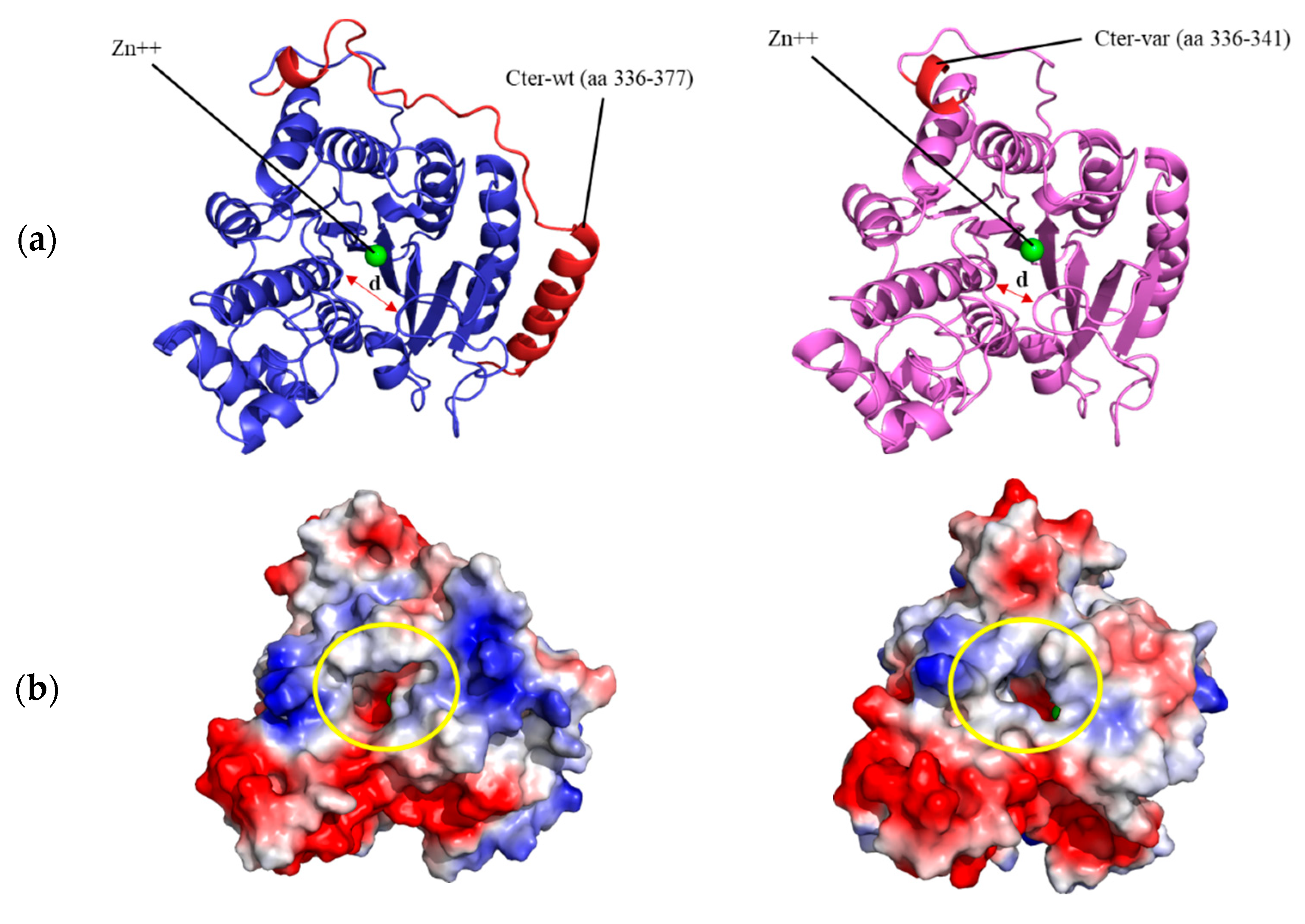 Genes 13 01413 g003a