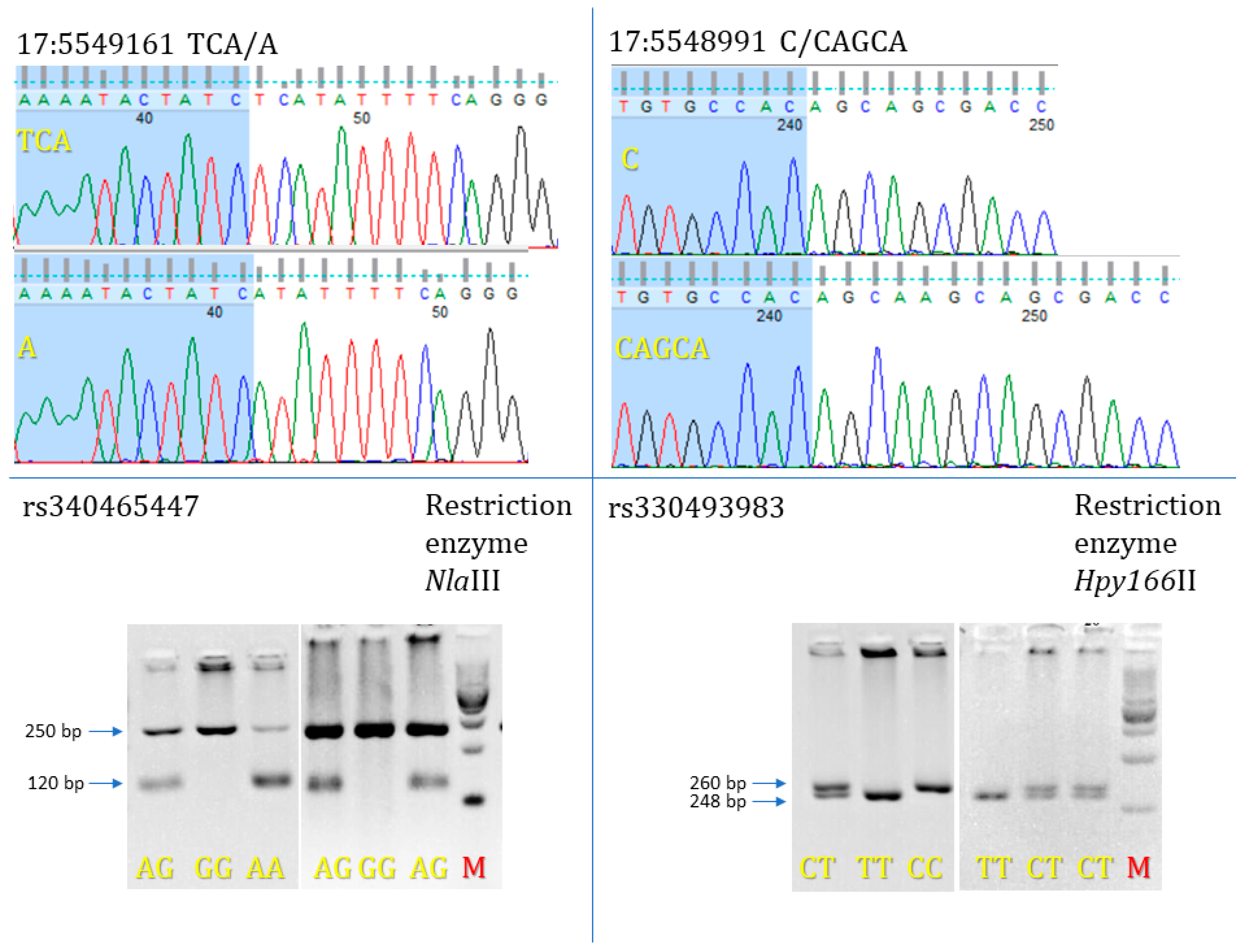 Genes 13 01419 g002 Genes 13 01419 g002