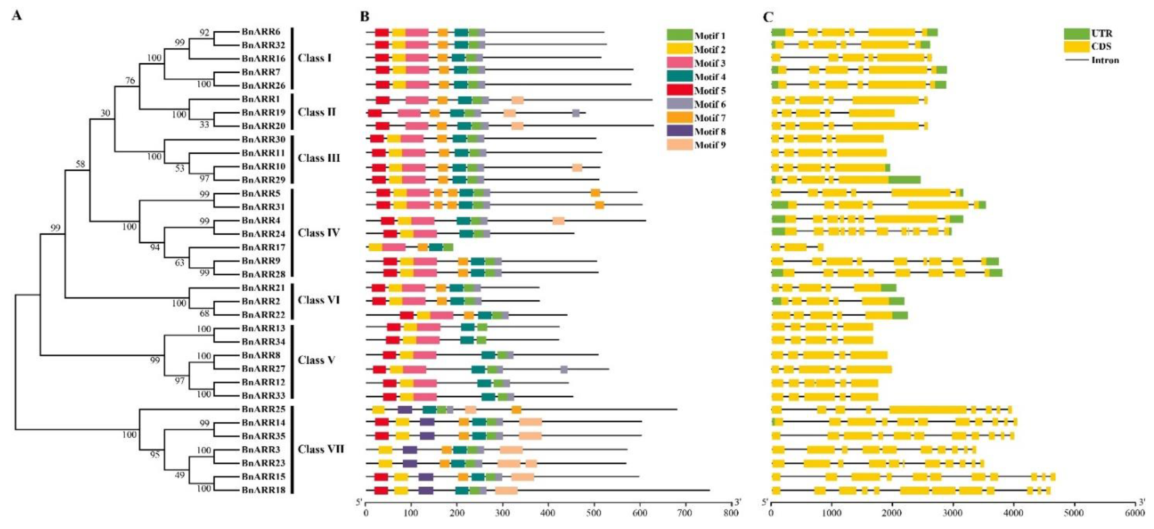 Genes 13 01449 g003