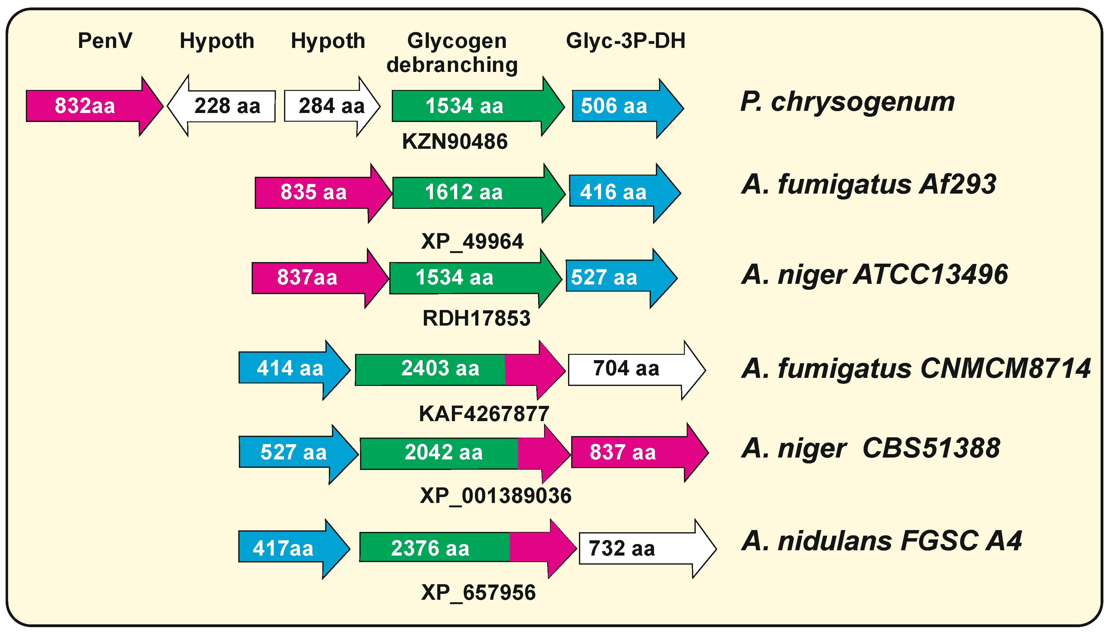 Genes 13 01450 g003 Genes 13 01450 g003