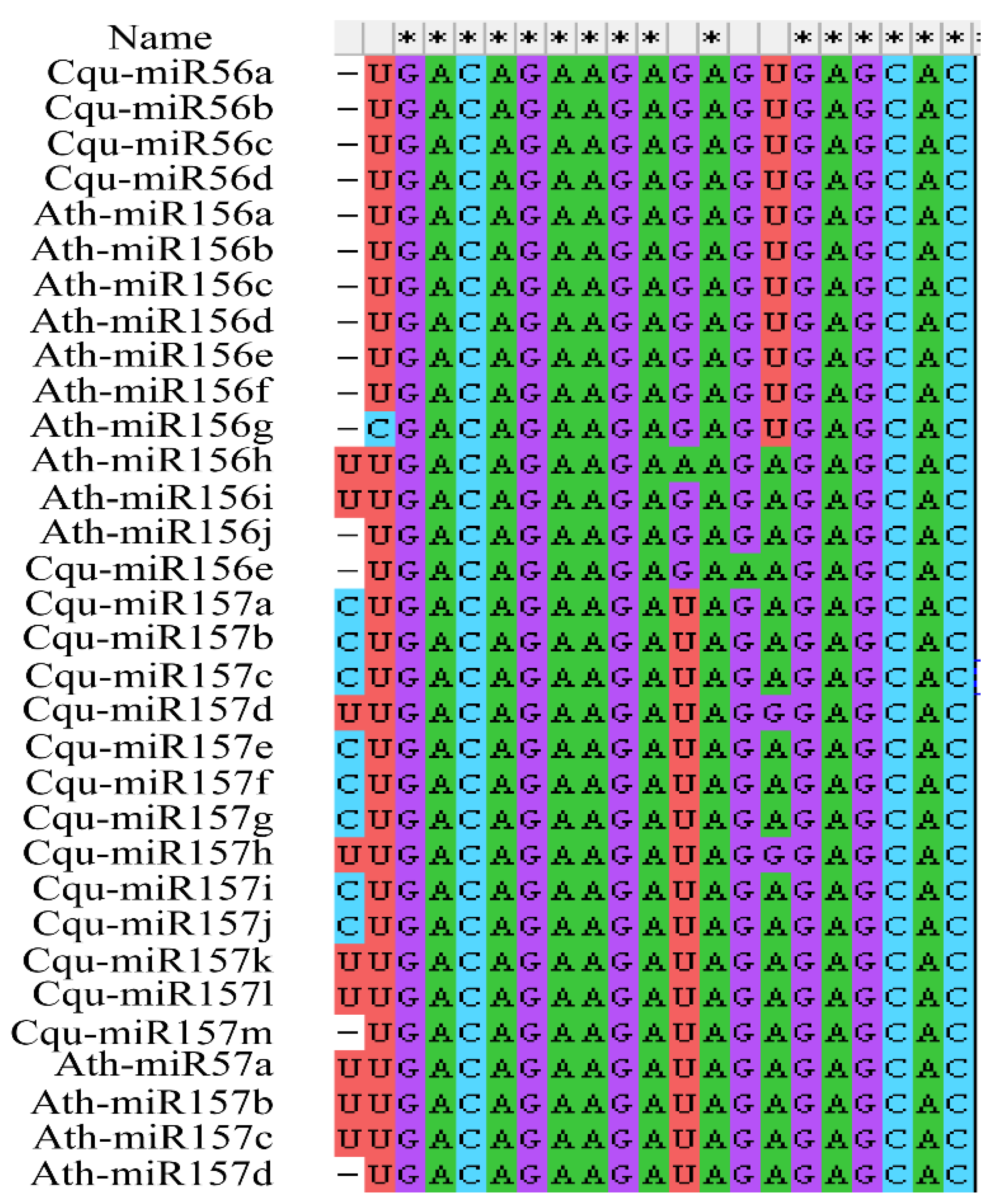 Genes 13 01455 g003