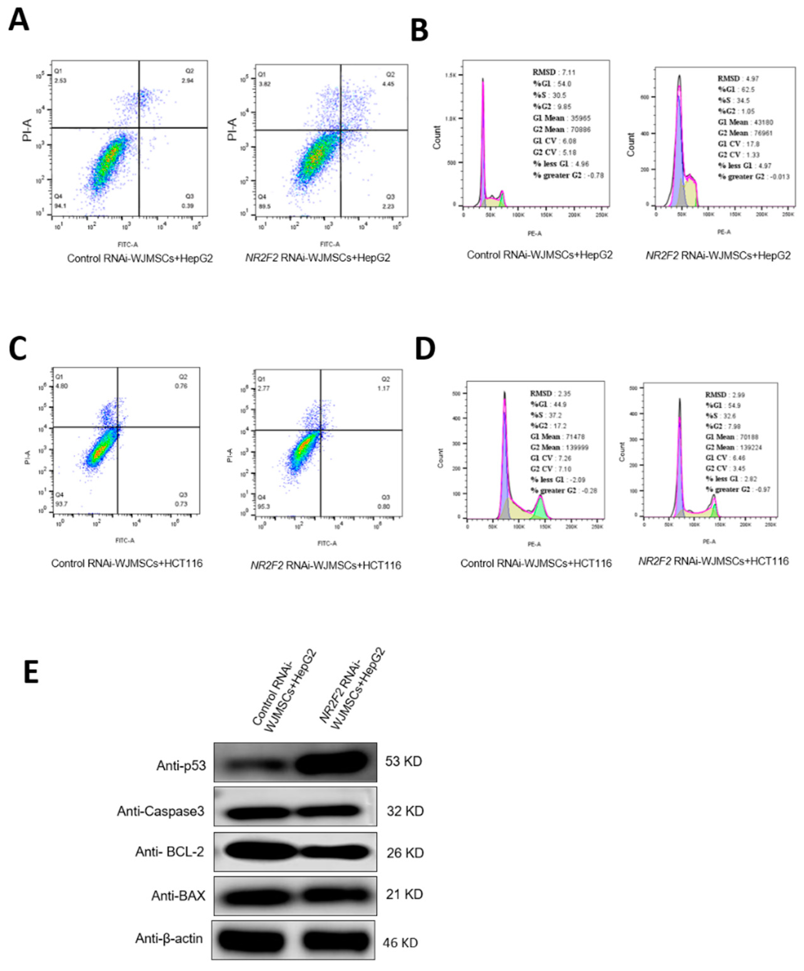 Genes 13 01458 g006
