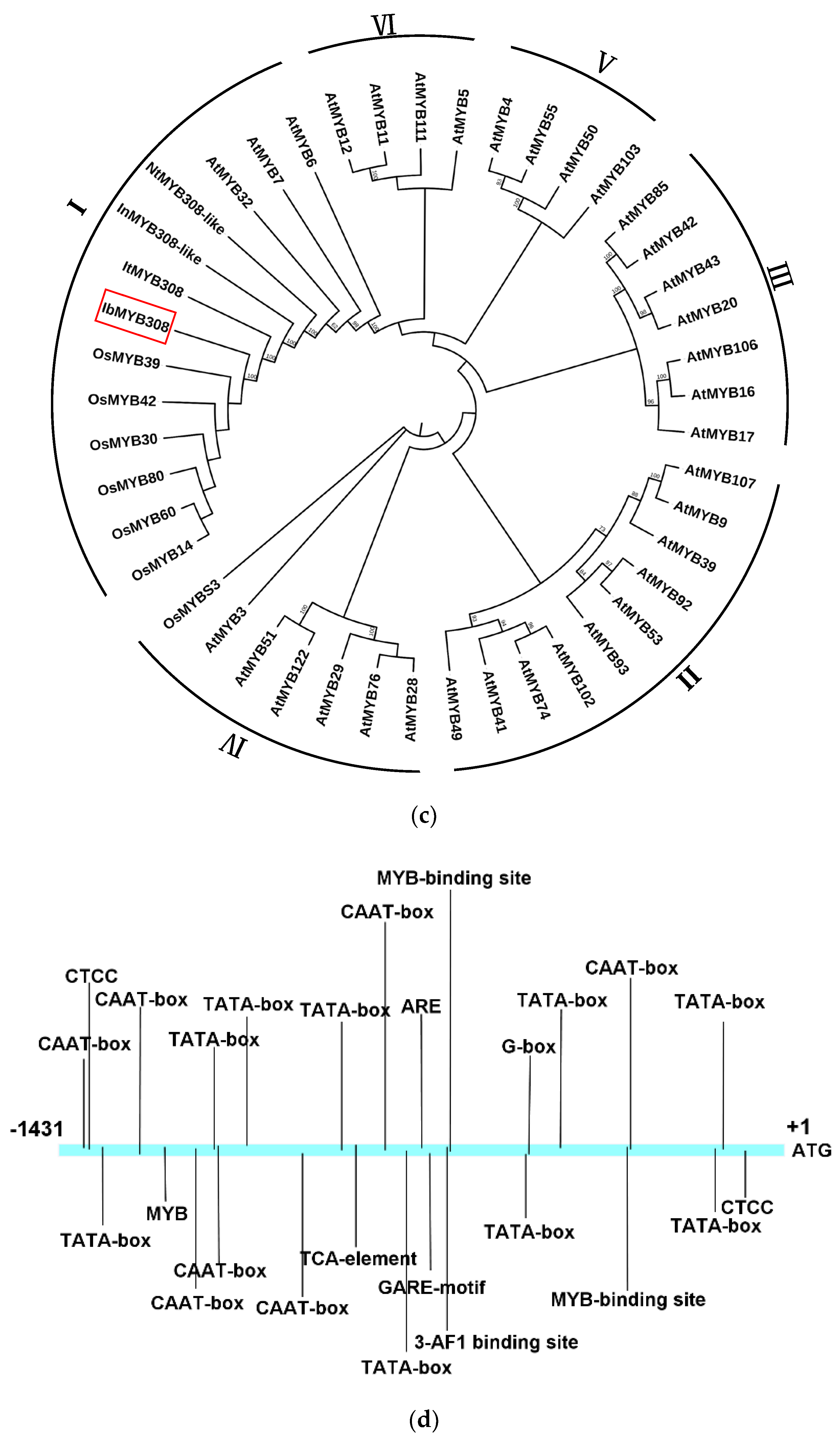 Genes 13 01476 g001b