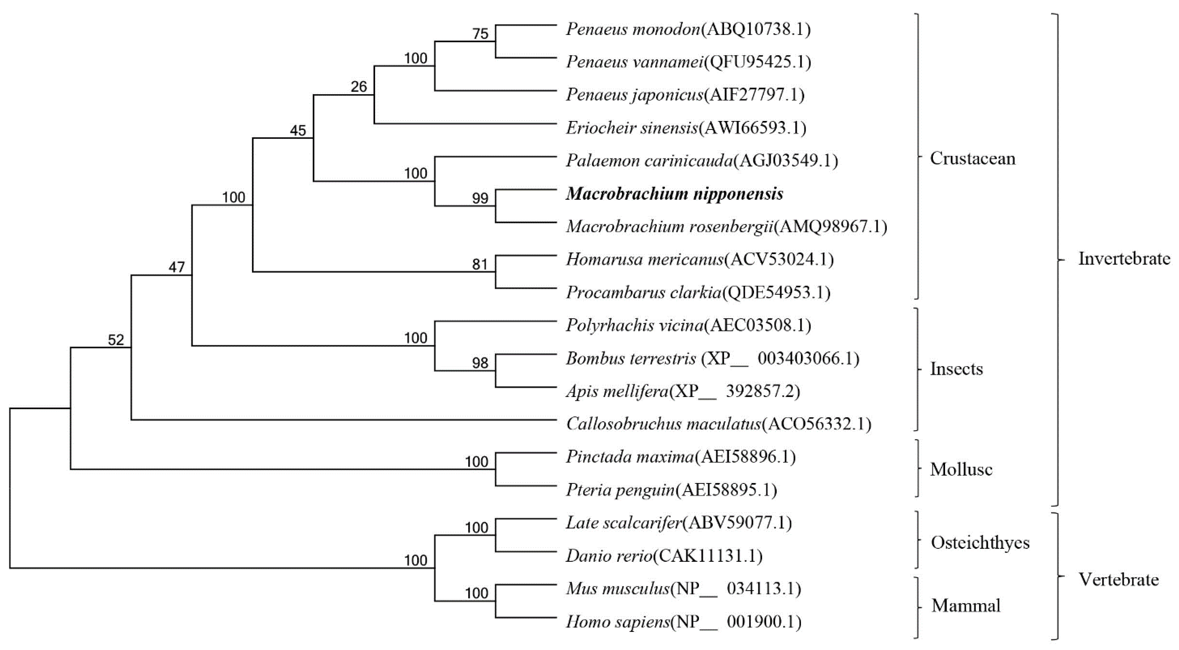 Genes 13 01495 g003