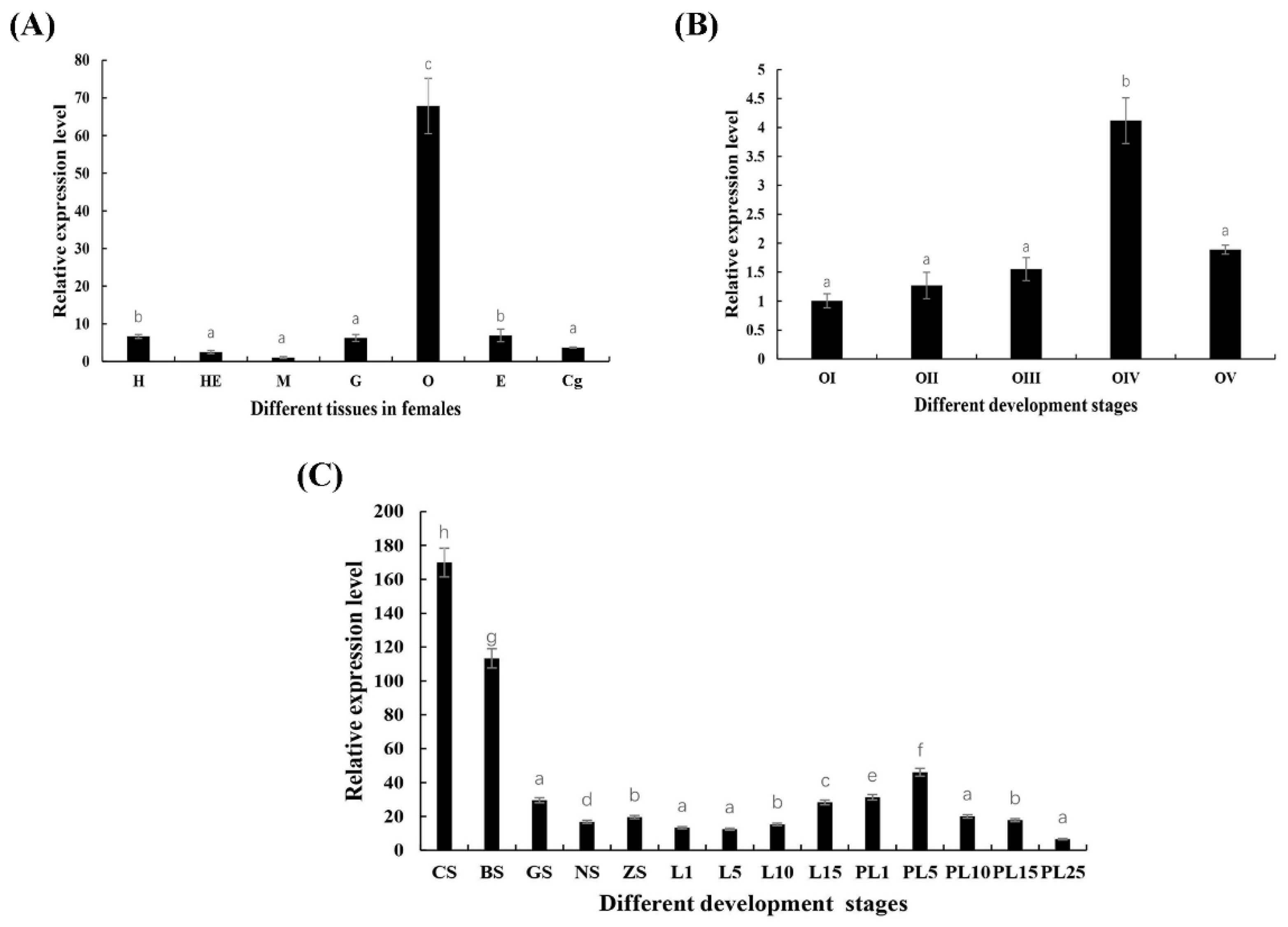 Genes 13 01495 g004
