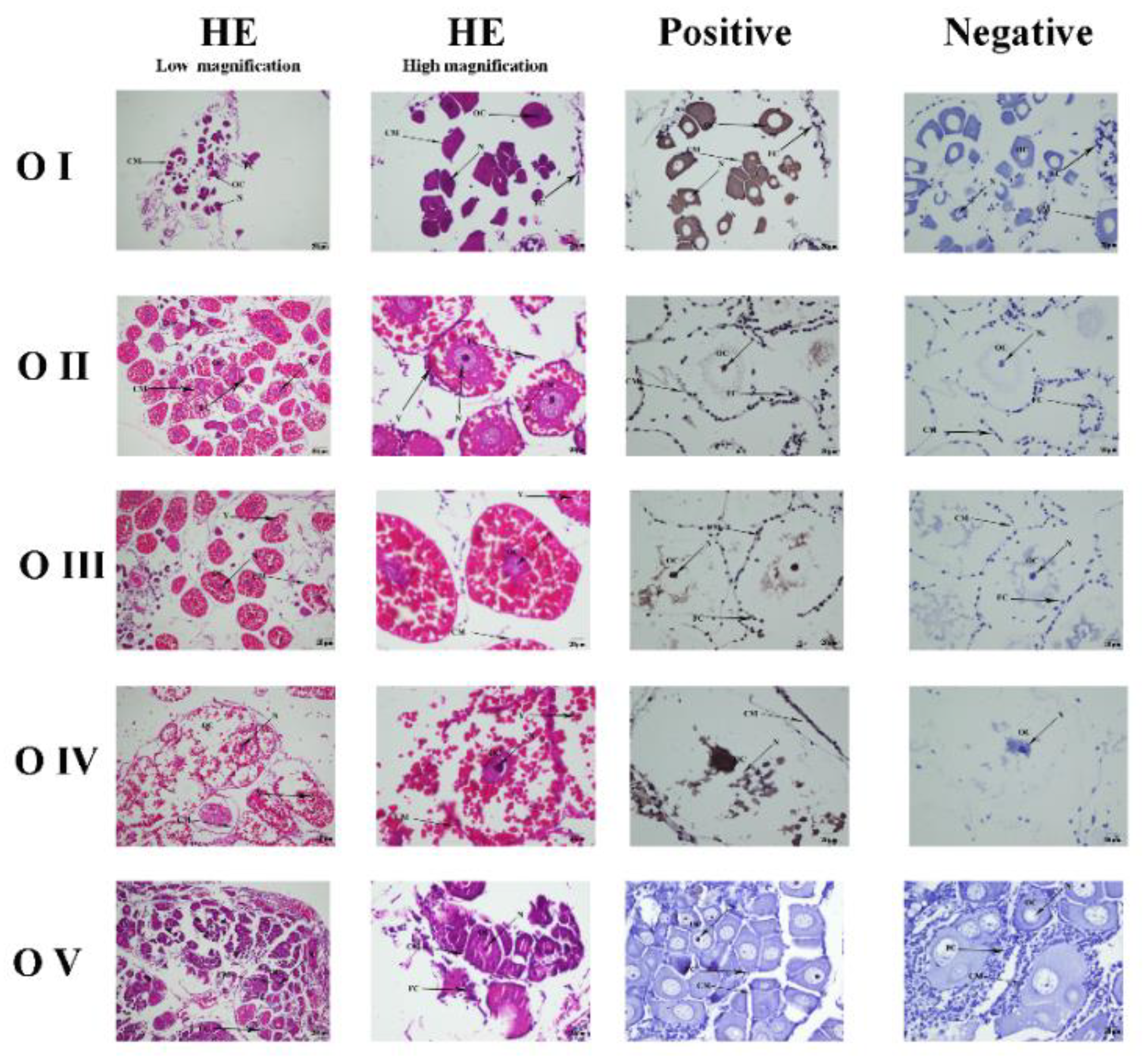 Genes 13 01495 g005