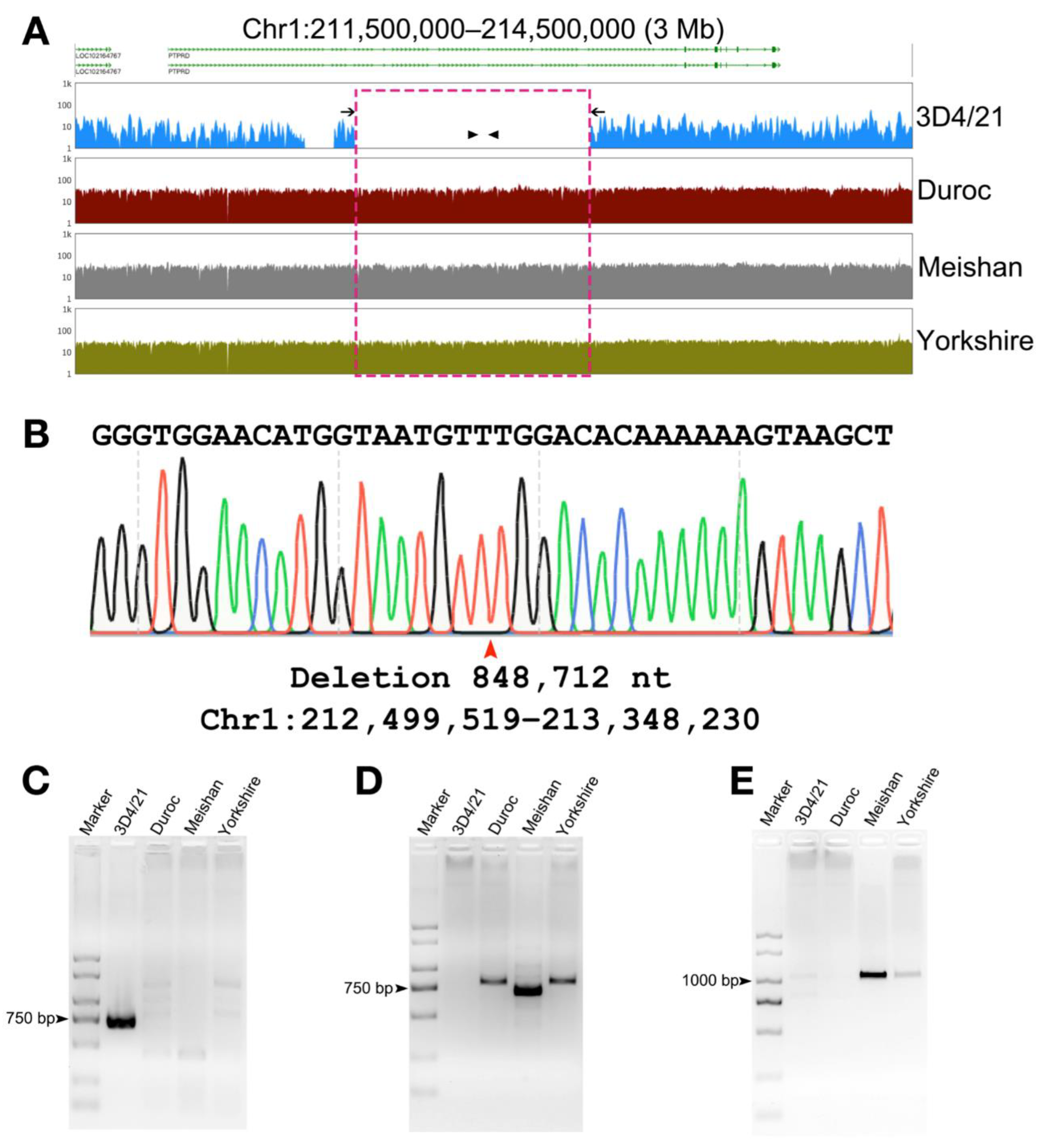 Genes 13 01515 g004