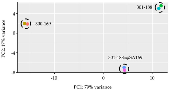 Stress-induced inactivation of the Staphylococcus aureus purine  biosynthesis repressor leads to hypervirulence