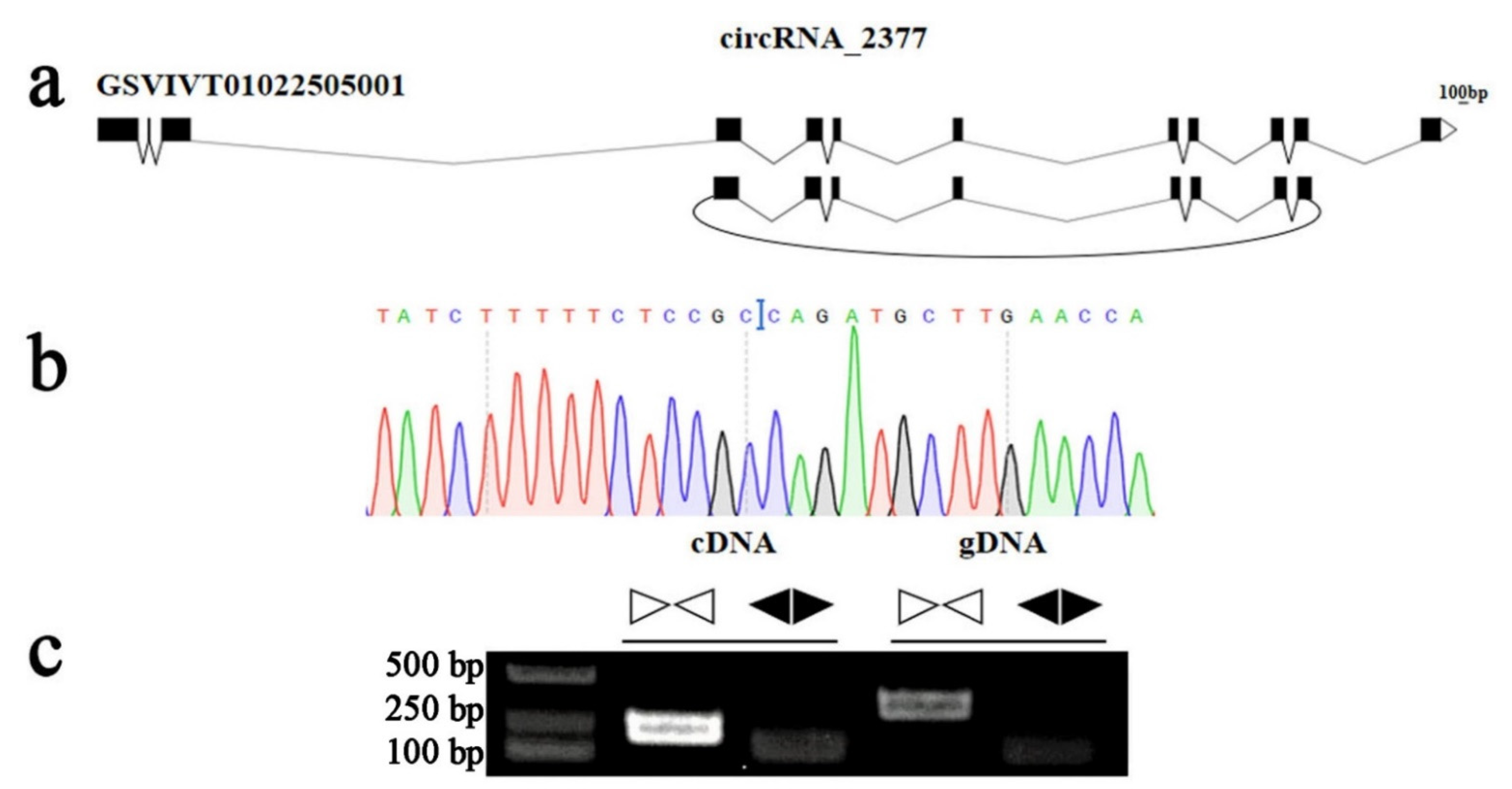 Genes 13 01547 g009