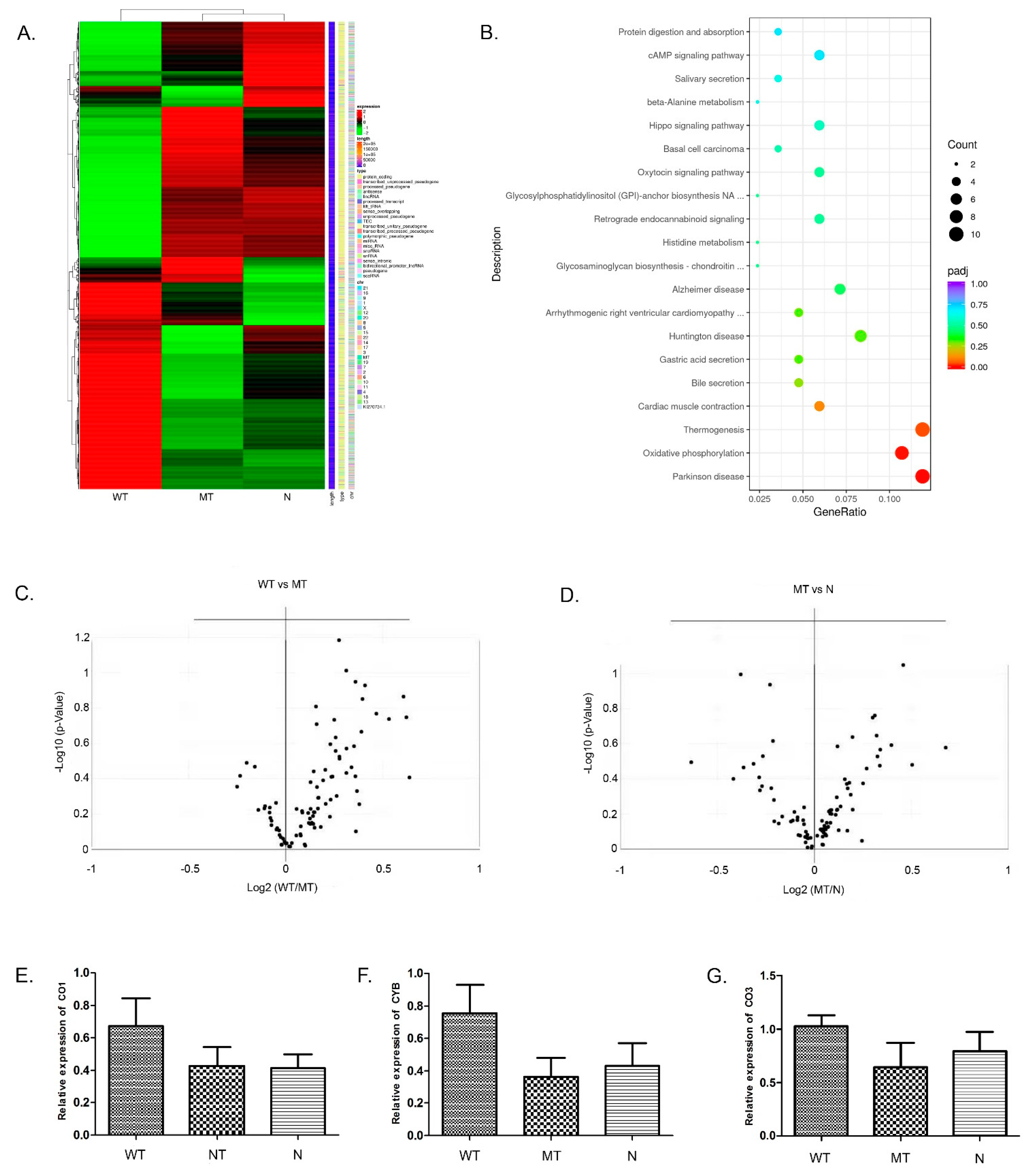 Genes 13 01558 g003