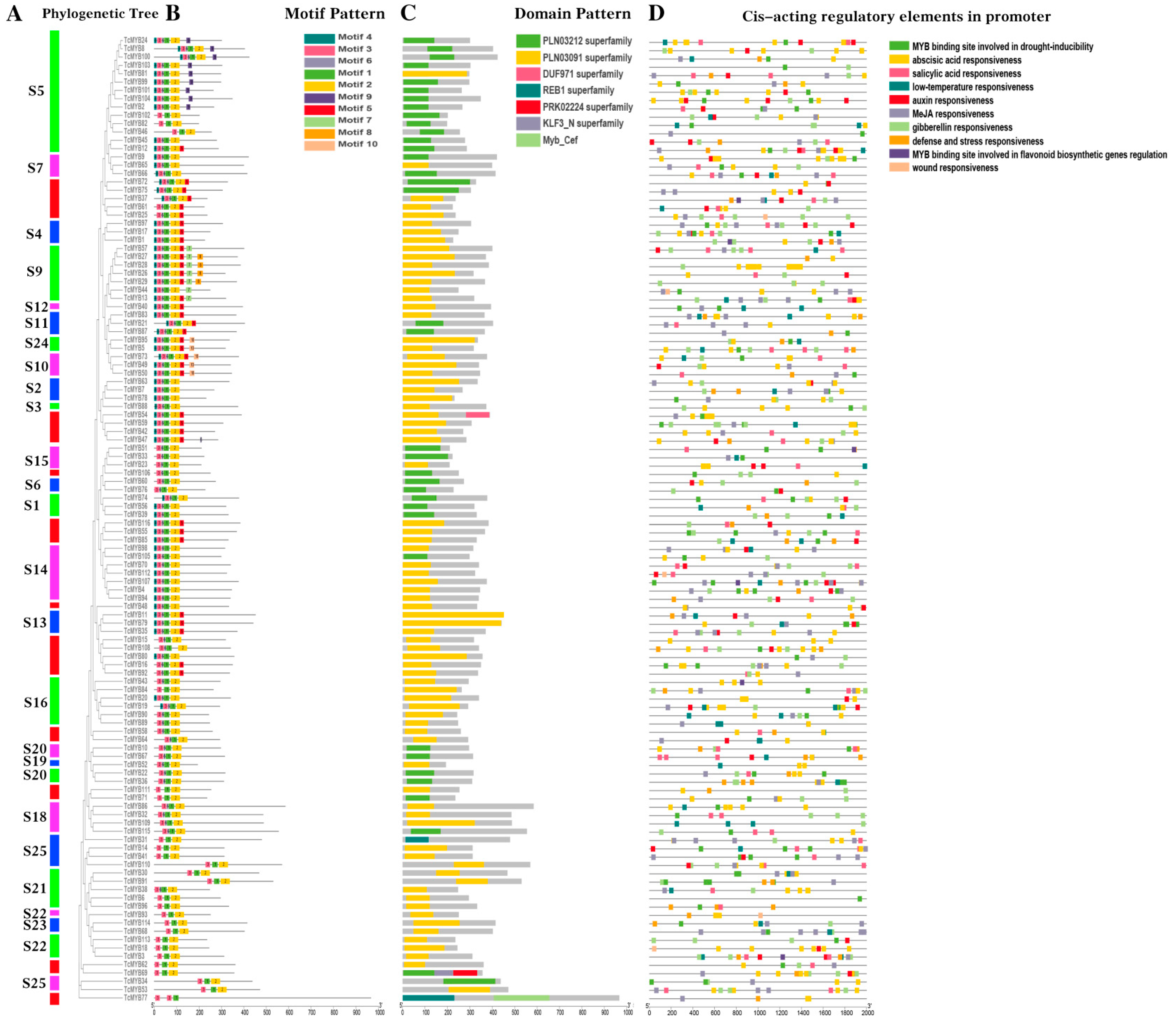 Genes 13 01572 g002 Genes 13 01572 g002