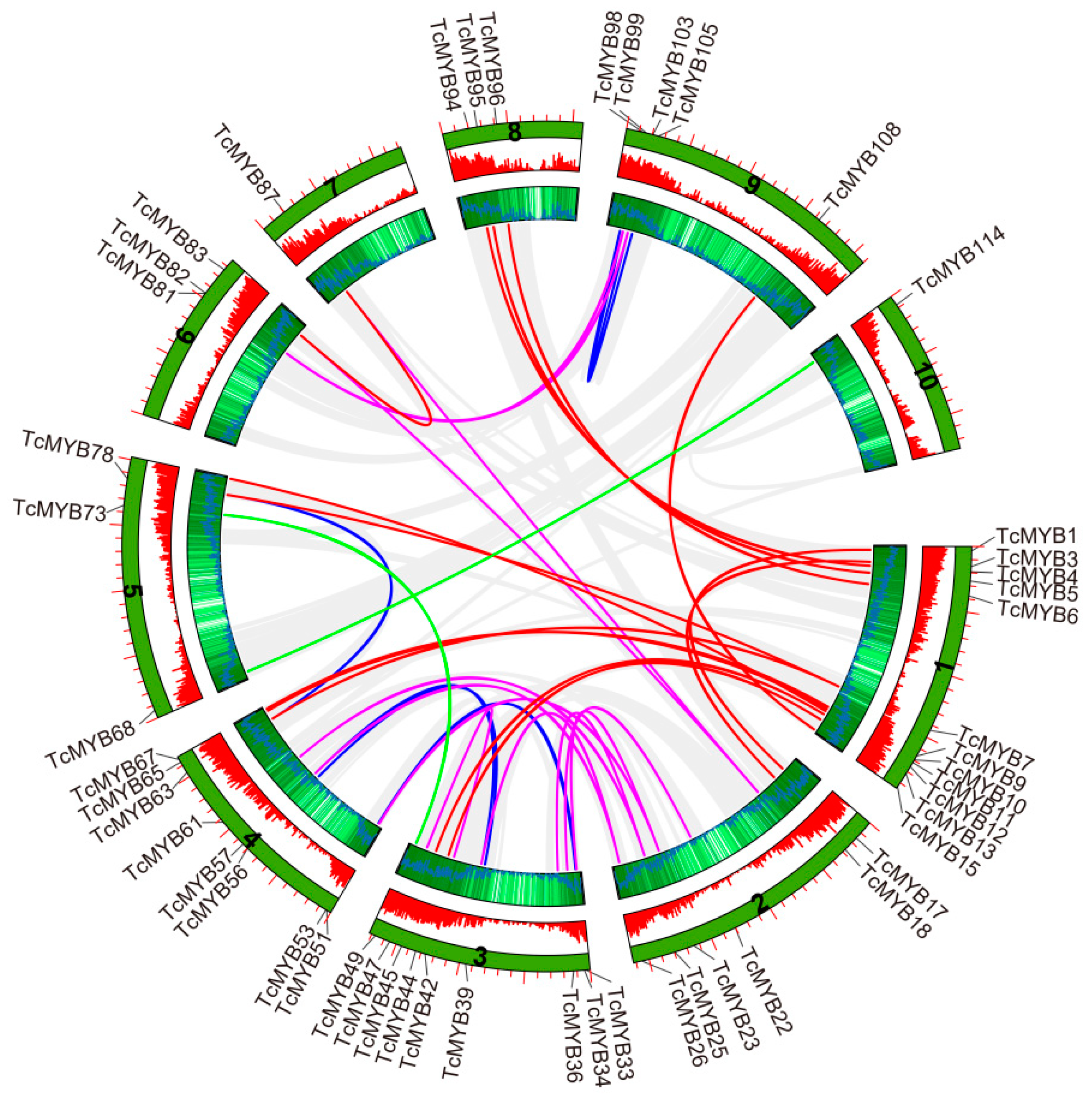 Genes 13 01572 g004 Genes 13 01572 g004