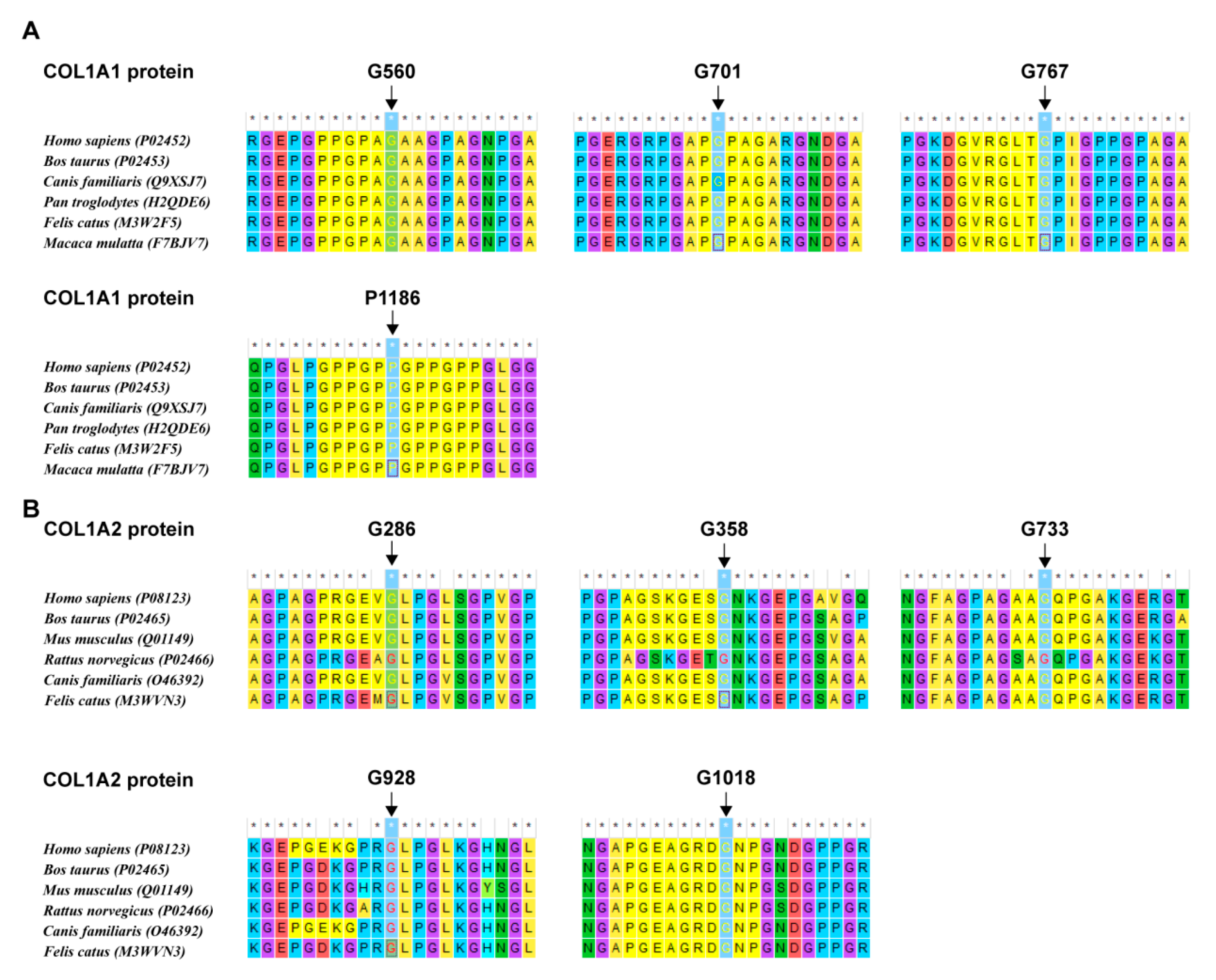 Genes 13 01578 g004 Genes 13 01578 g004