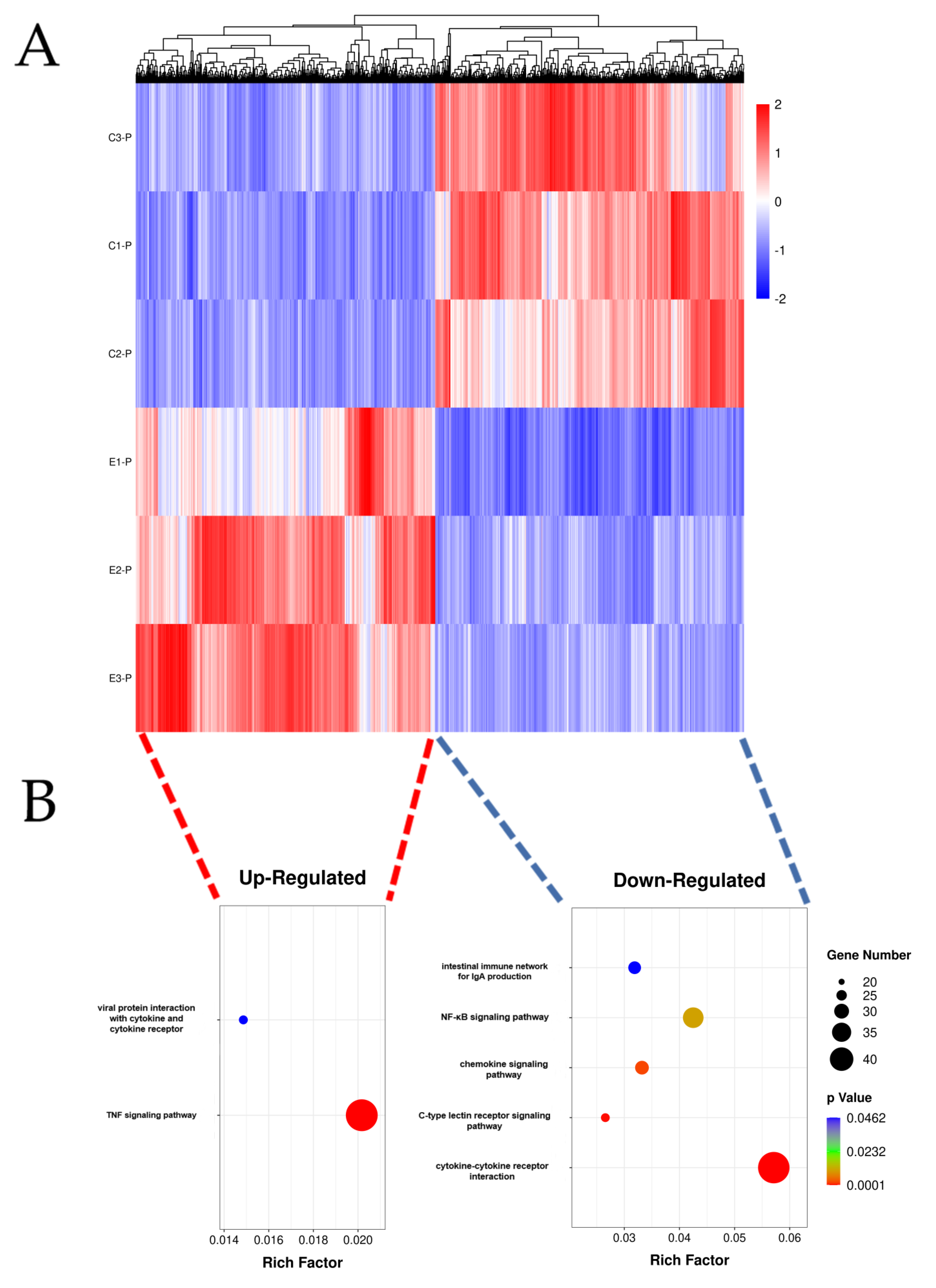 Genes 13 01586 g005