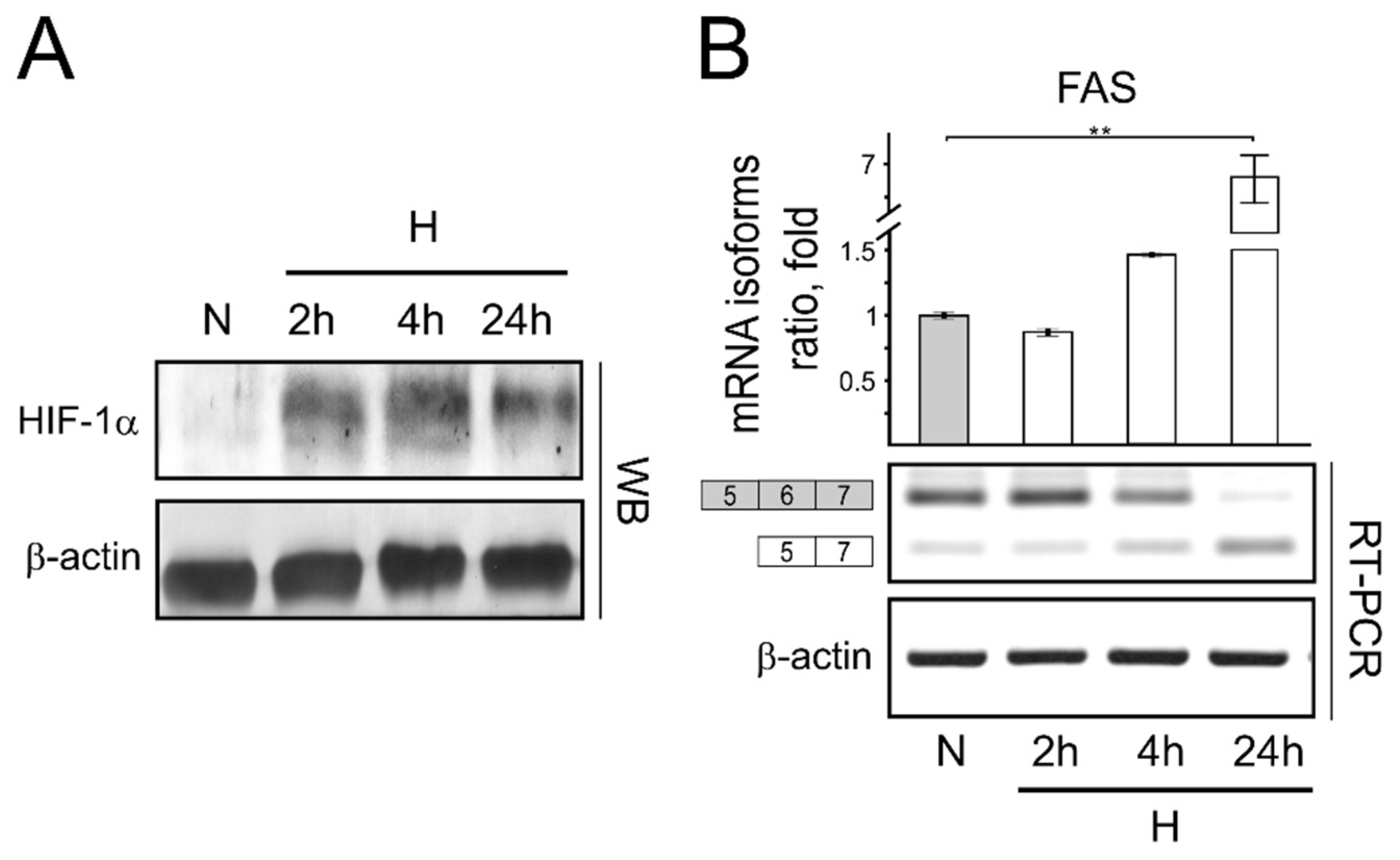 Genes 13 01596 g001 Genes 13 01596 g001