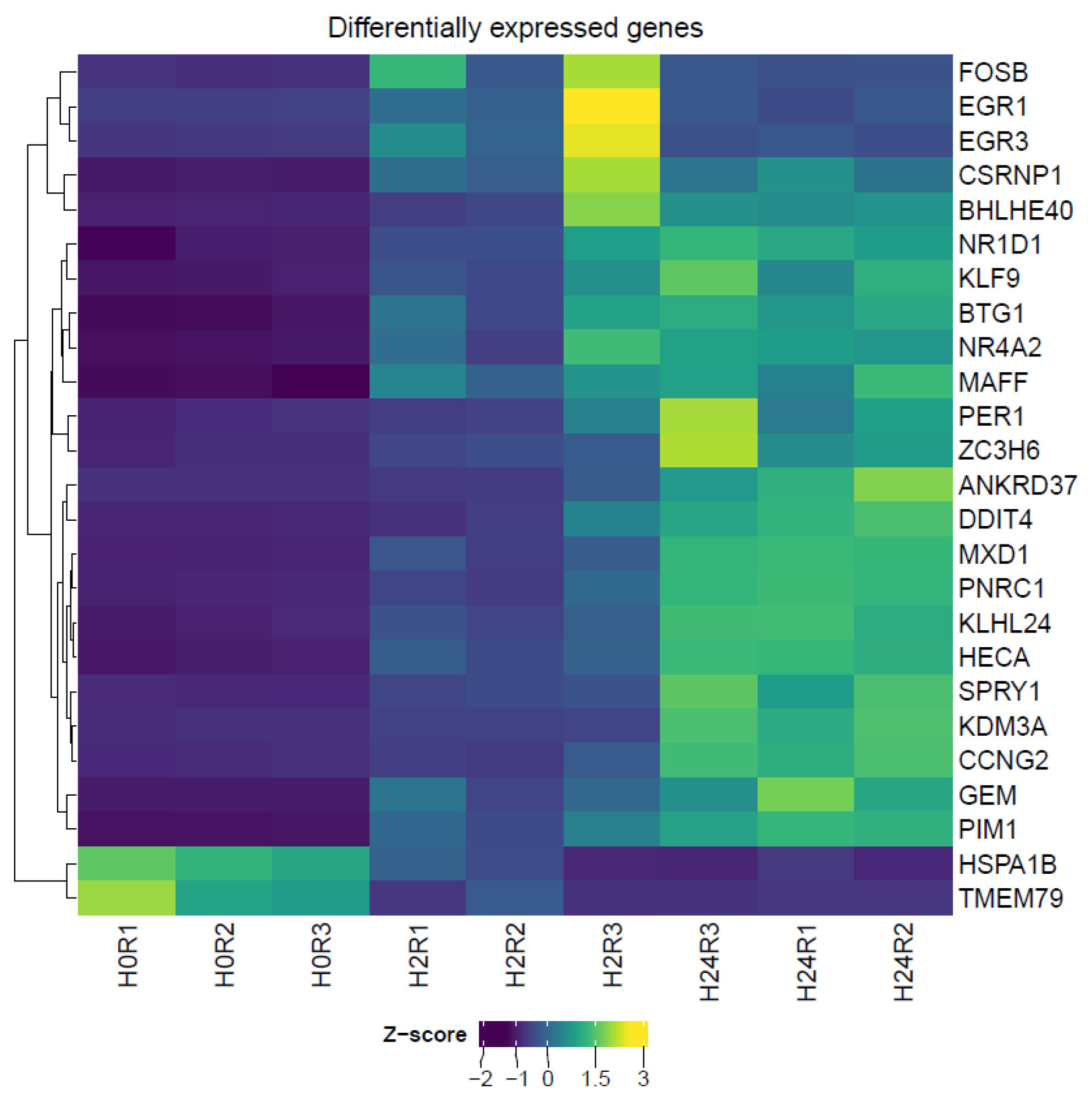Genes 13 01596 g002 Genes 13 01596 g002
