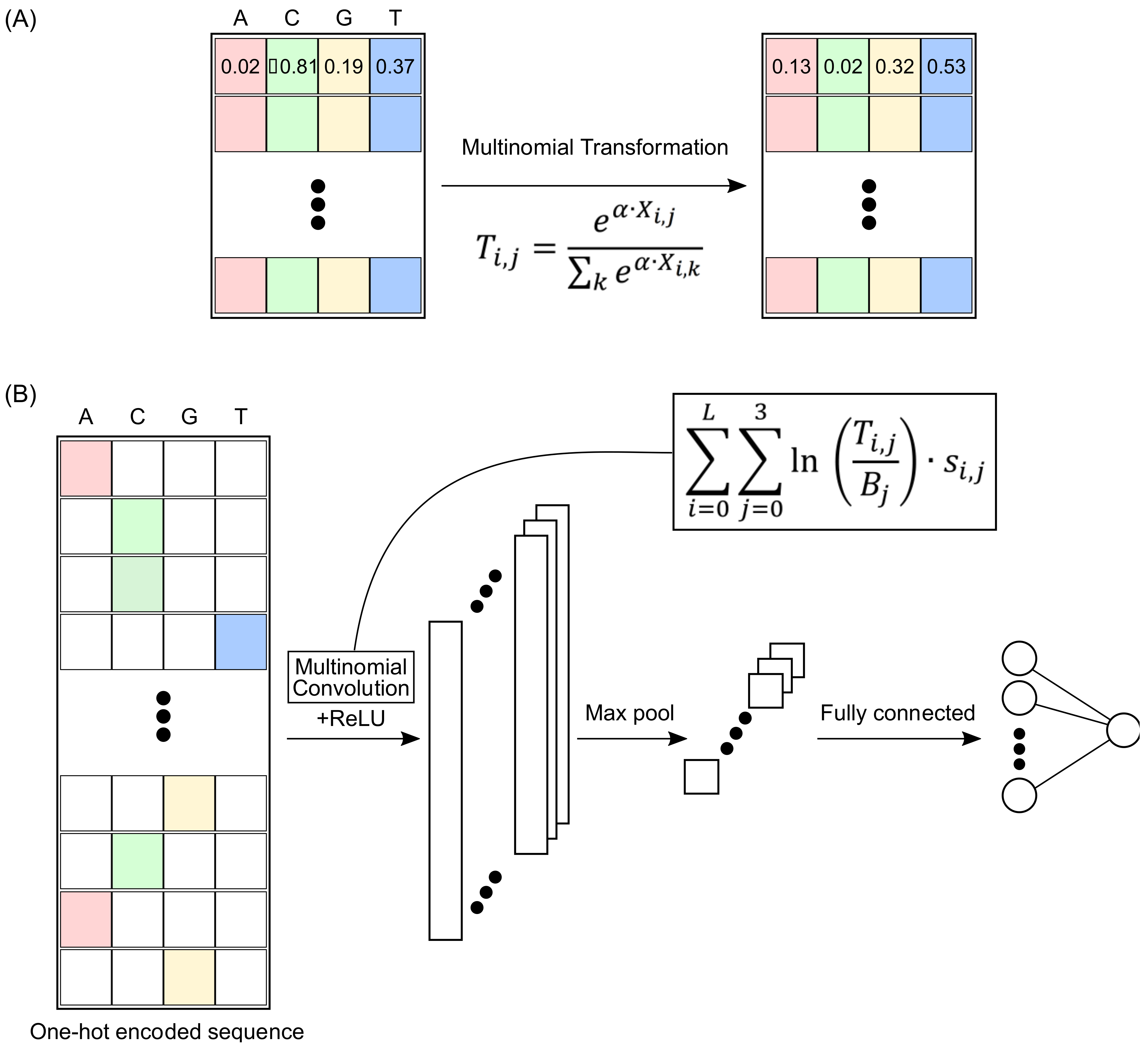 Genes 13 01614 g001