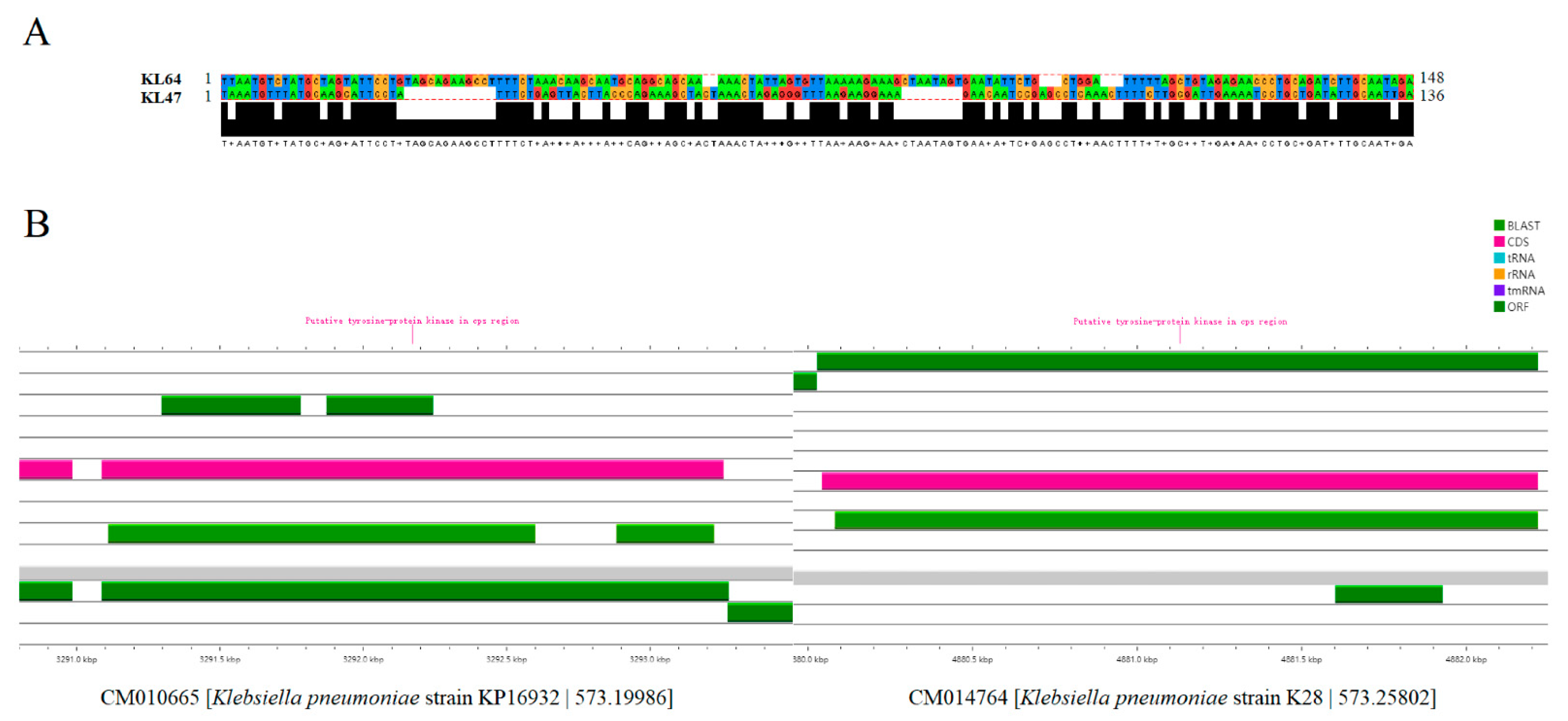 Genes 13 01624 g006