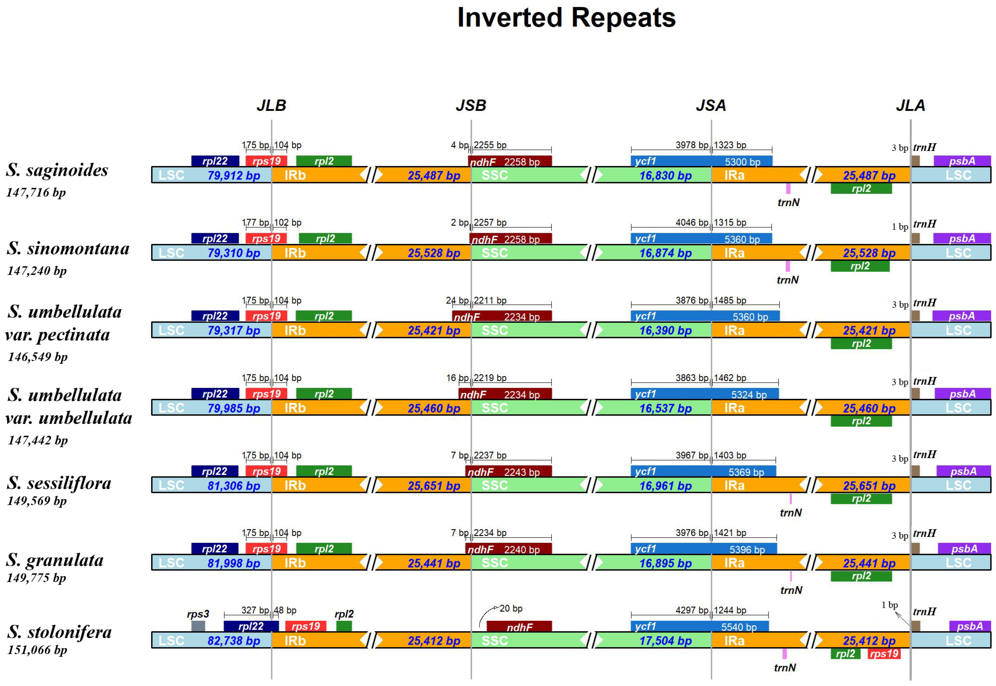 Genes 13 01673 g002 Genes 13 01673 g002