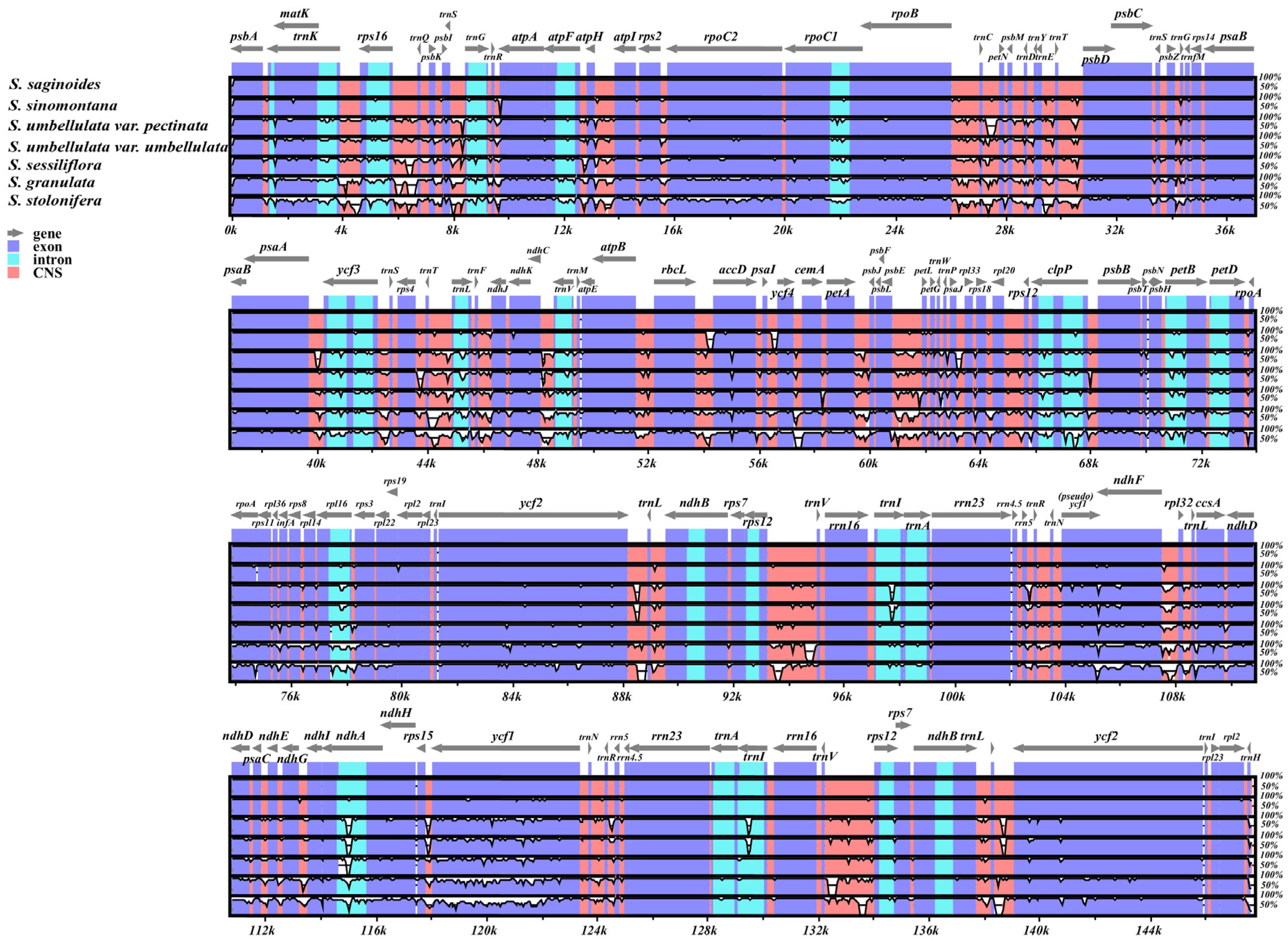 Genes 13 01673 g003 Genes 13 01673 g003
