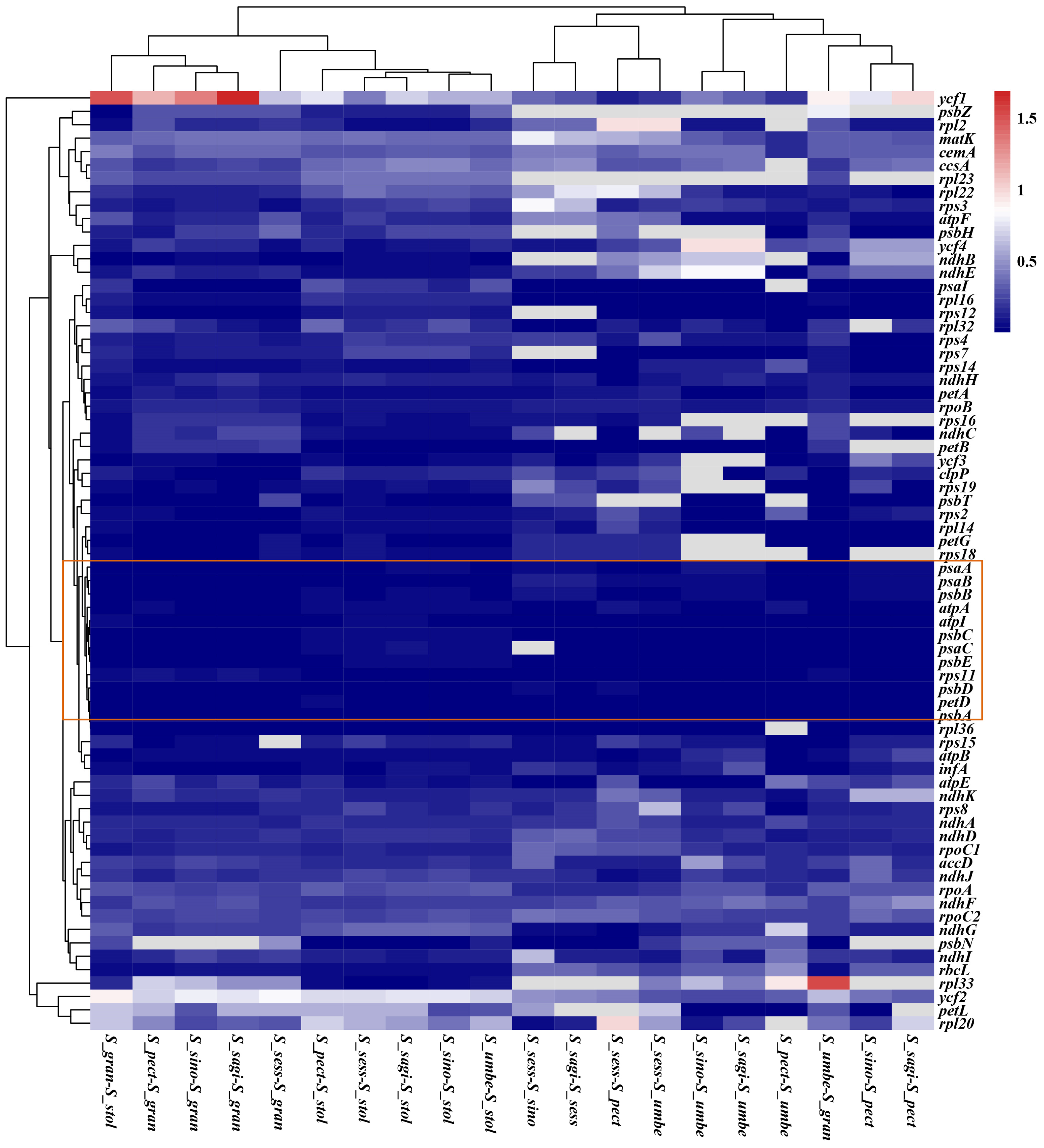 Genes 13 01673 g008 Genes 13 01673 g008
