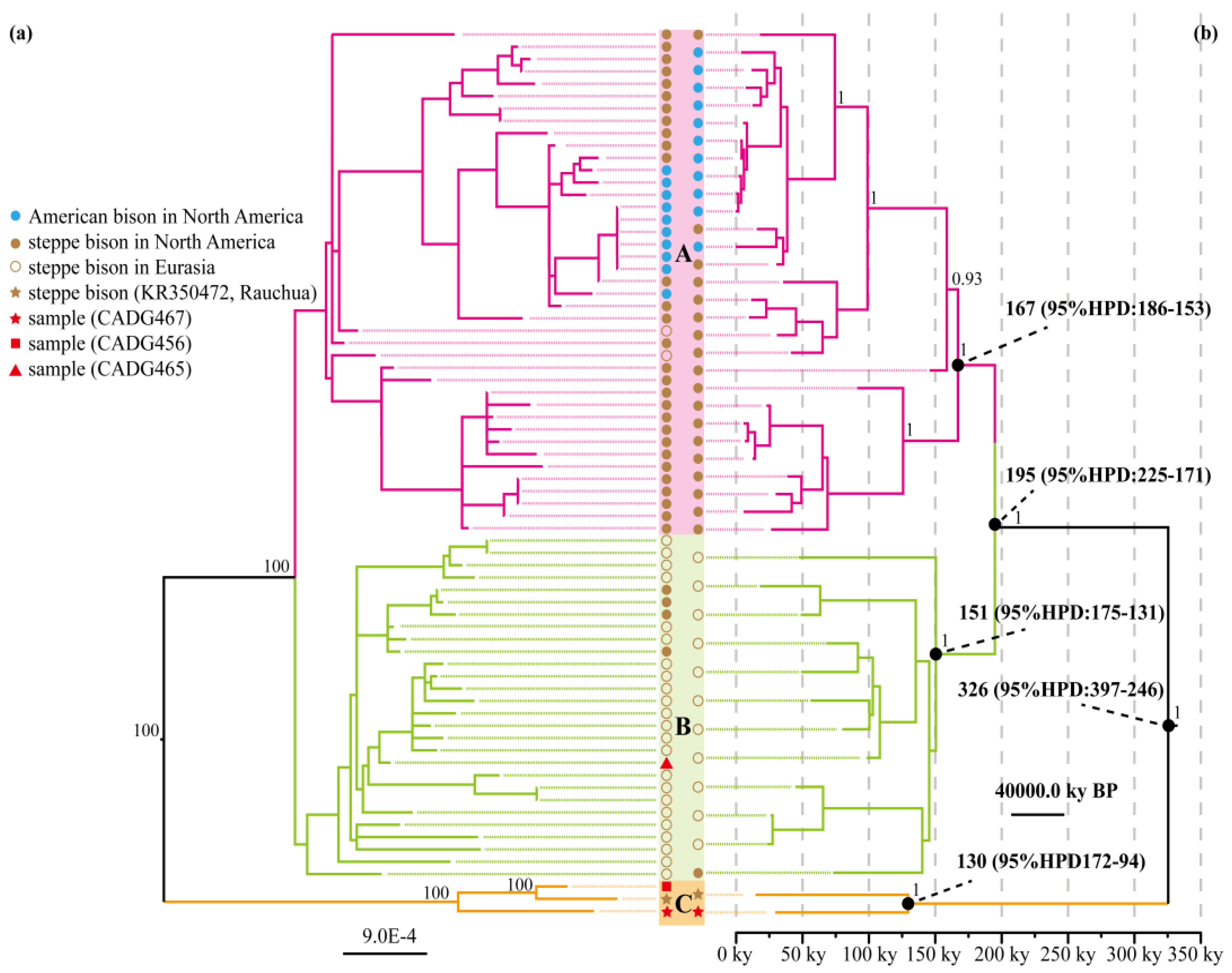 Genes 13 01684 g002 Genes 13 01684 g002